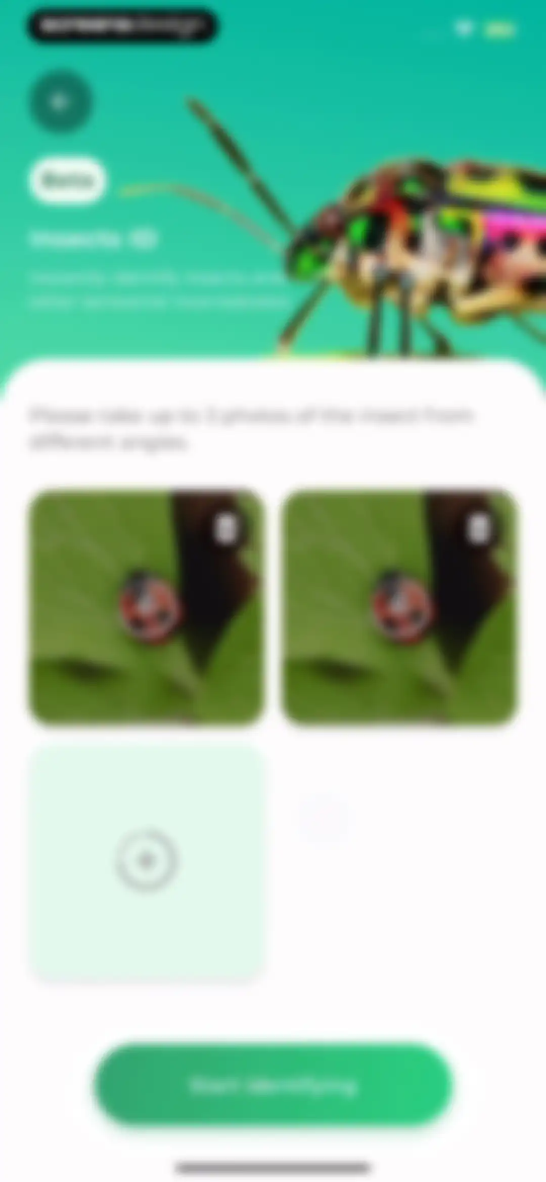 Plant Identifier: LeafSnap screen 72