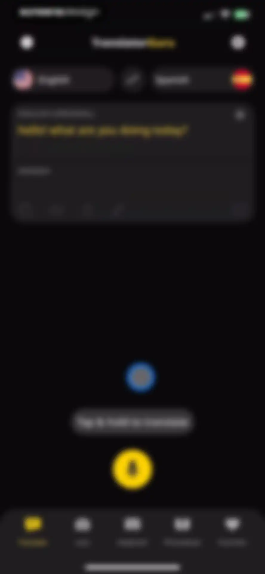 Translator Guru: Voice & Text screen 8