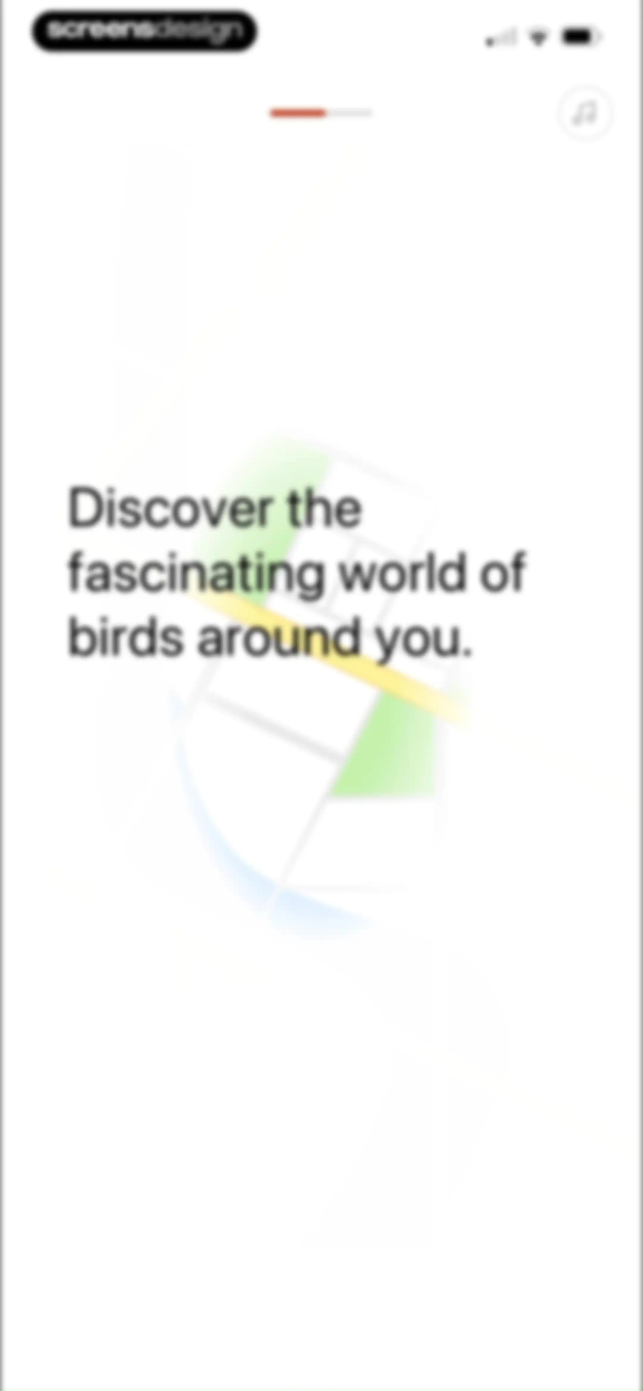 Picture Bird: Bird identifier screen 6