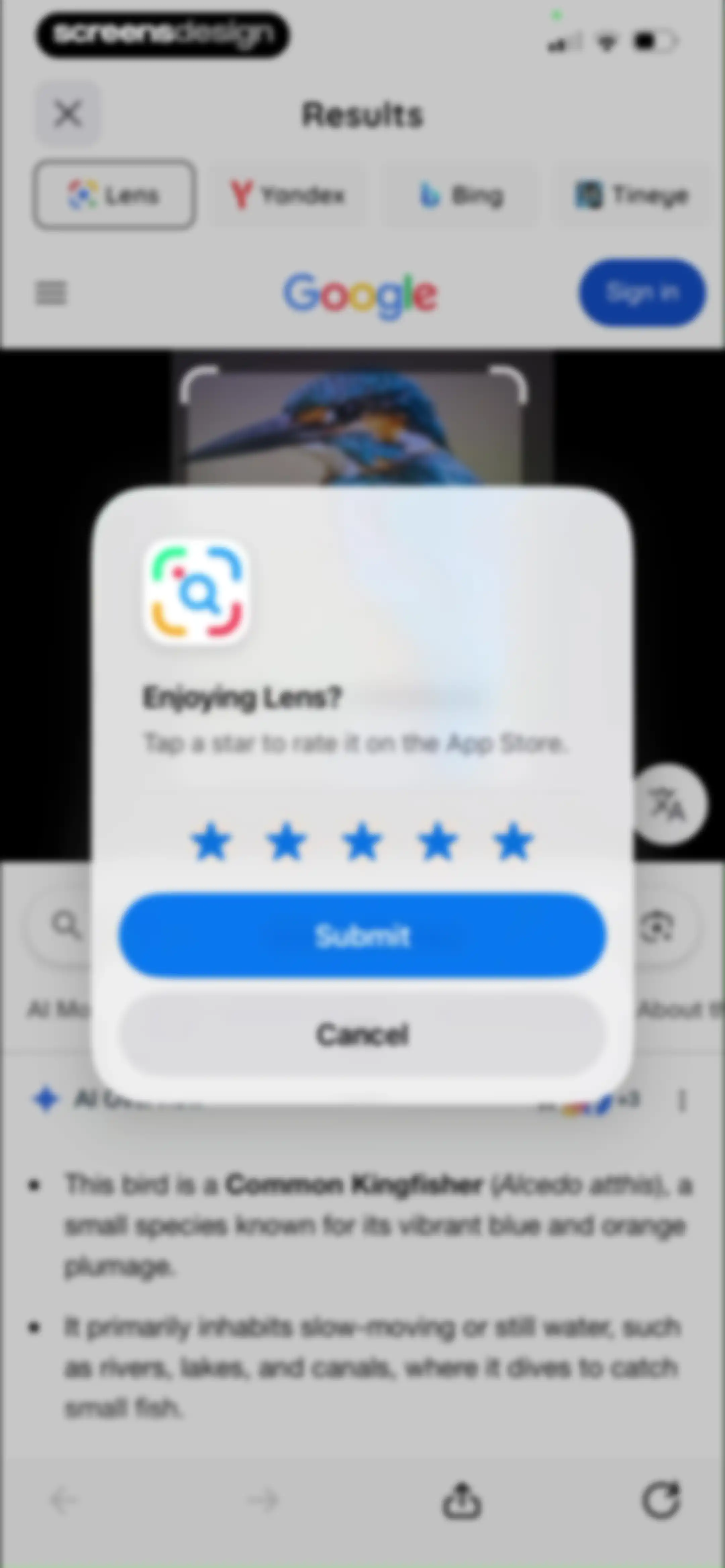 Lens: Translate & Image Search screen 20