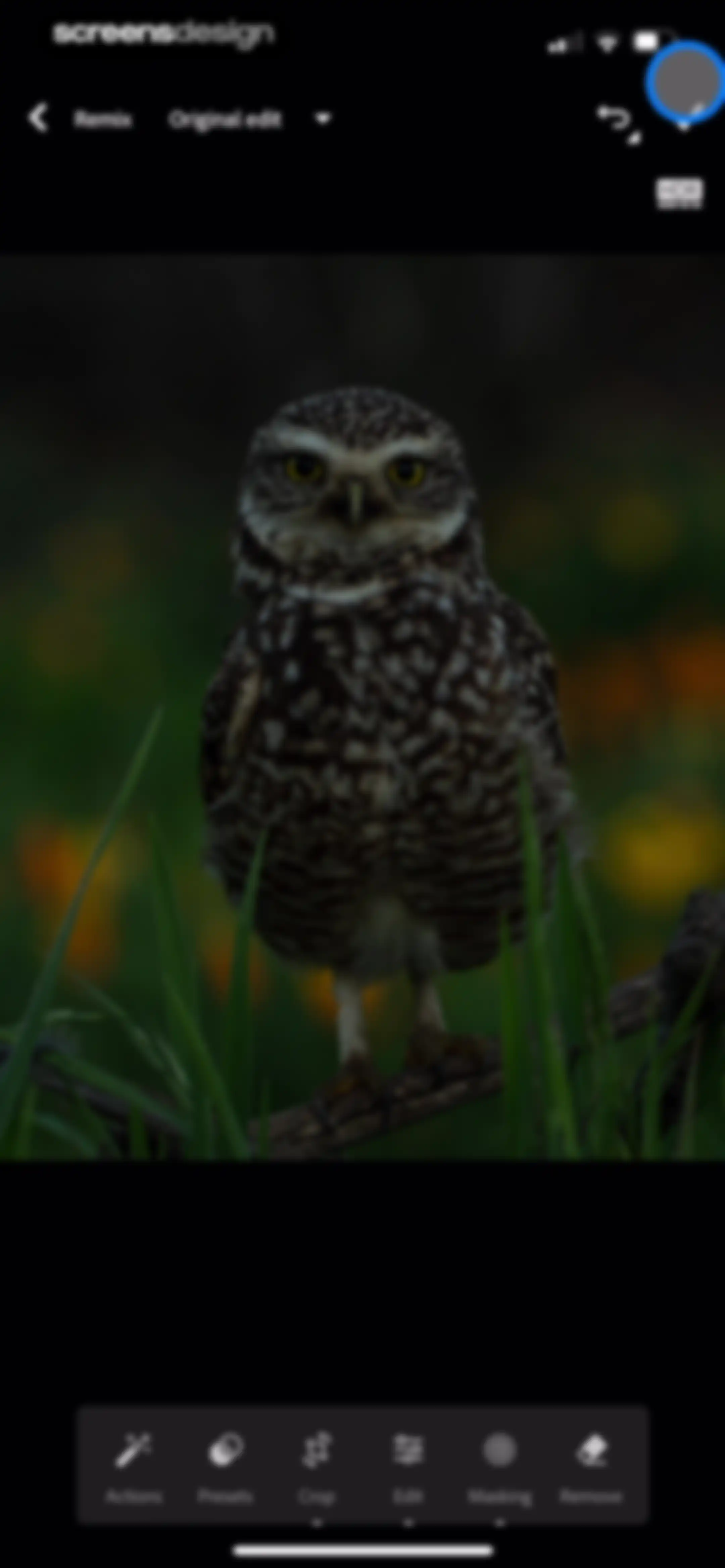 Lightroom: AI Photo Editor screen 169