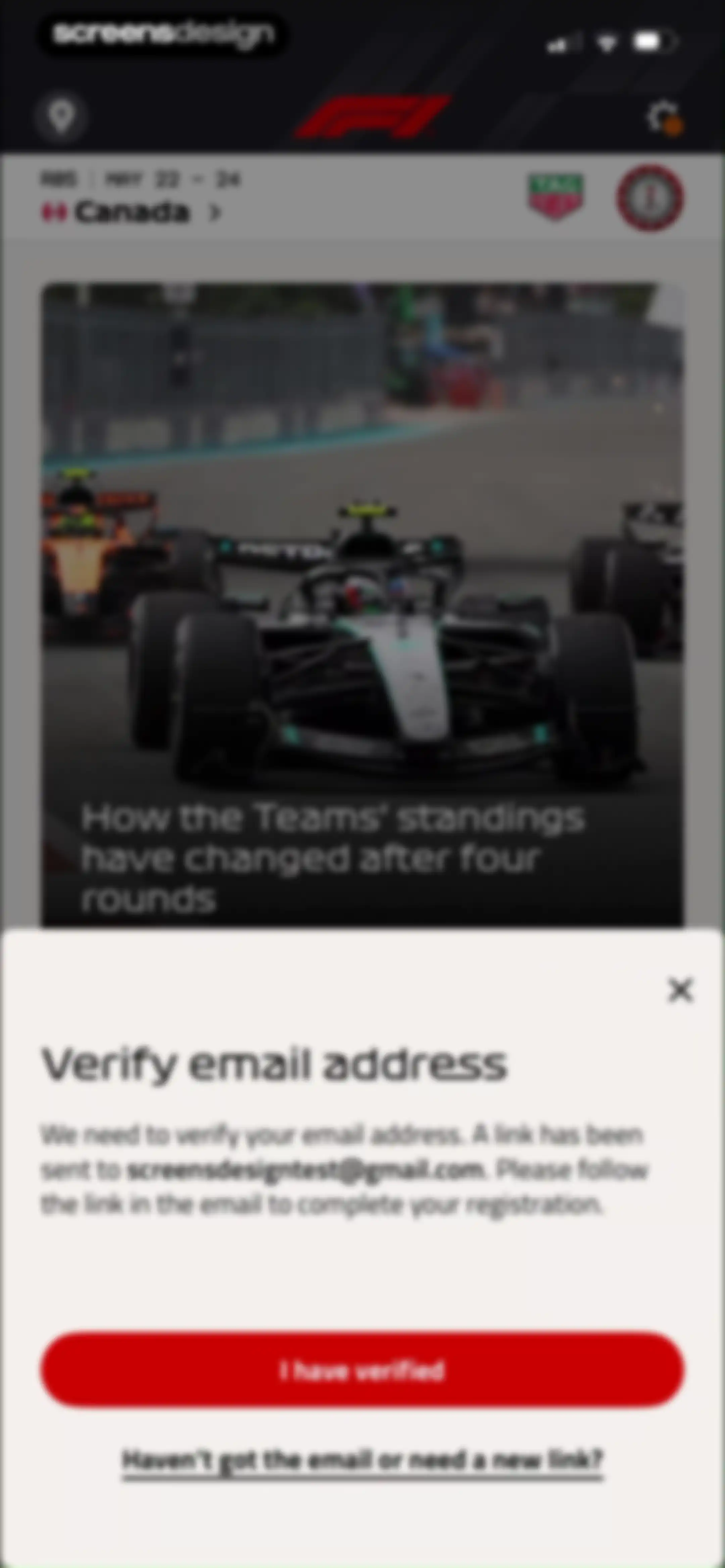 Formula 1® screen 19