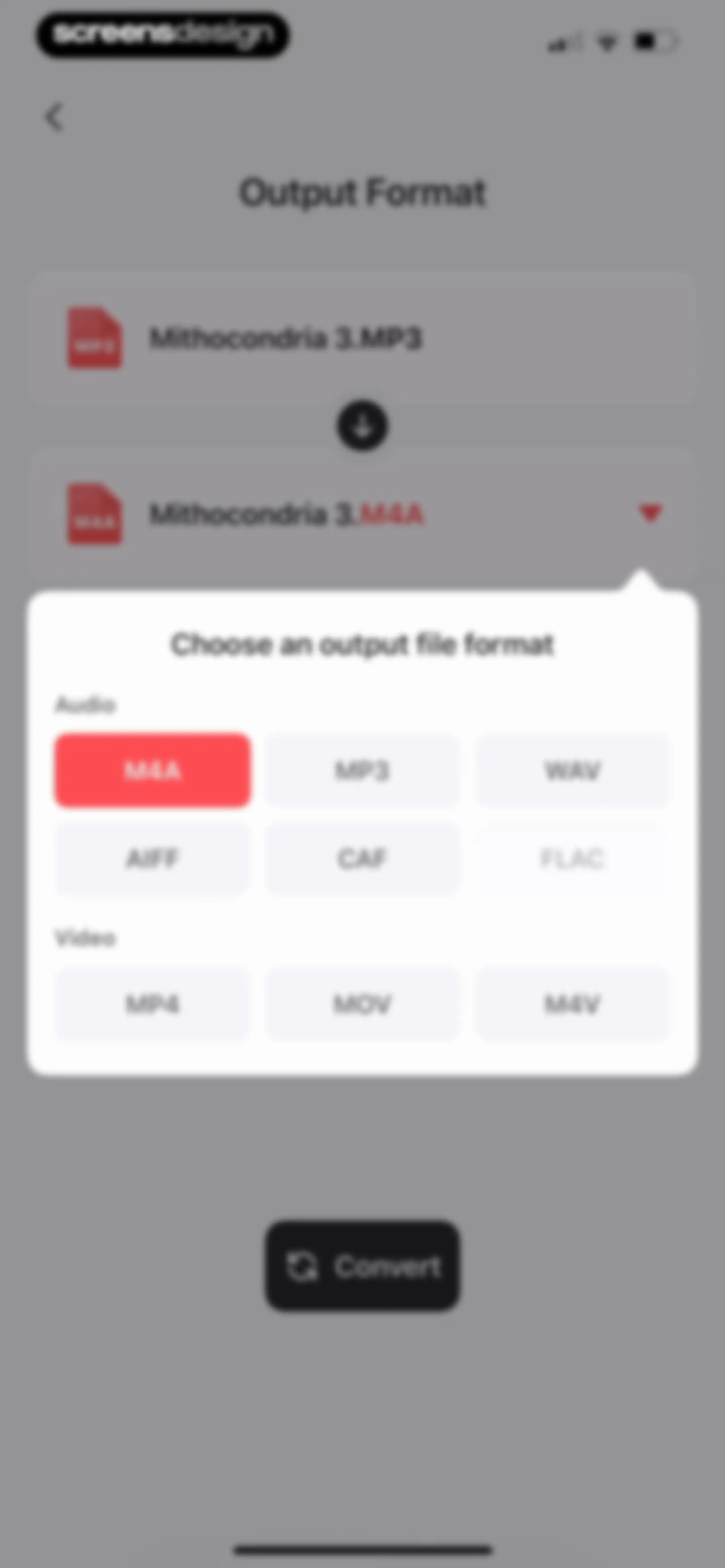 Voice Recorder — Audio Memos screen 49
