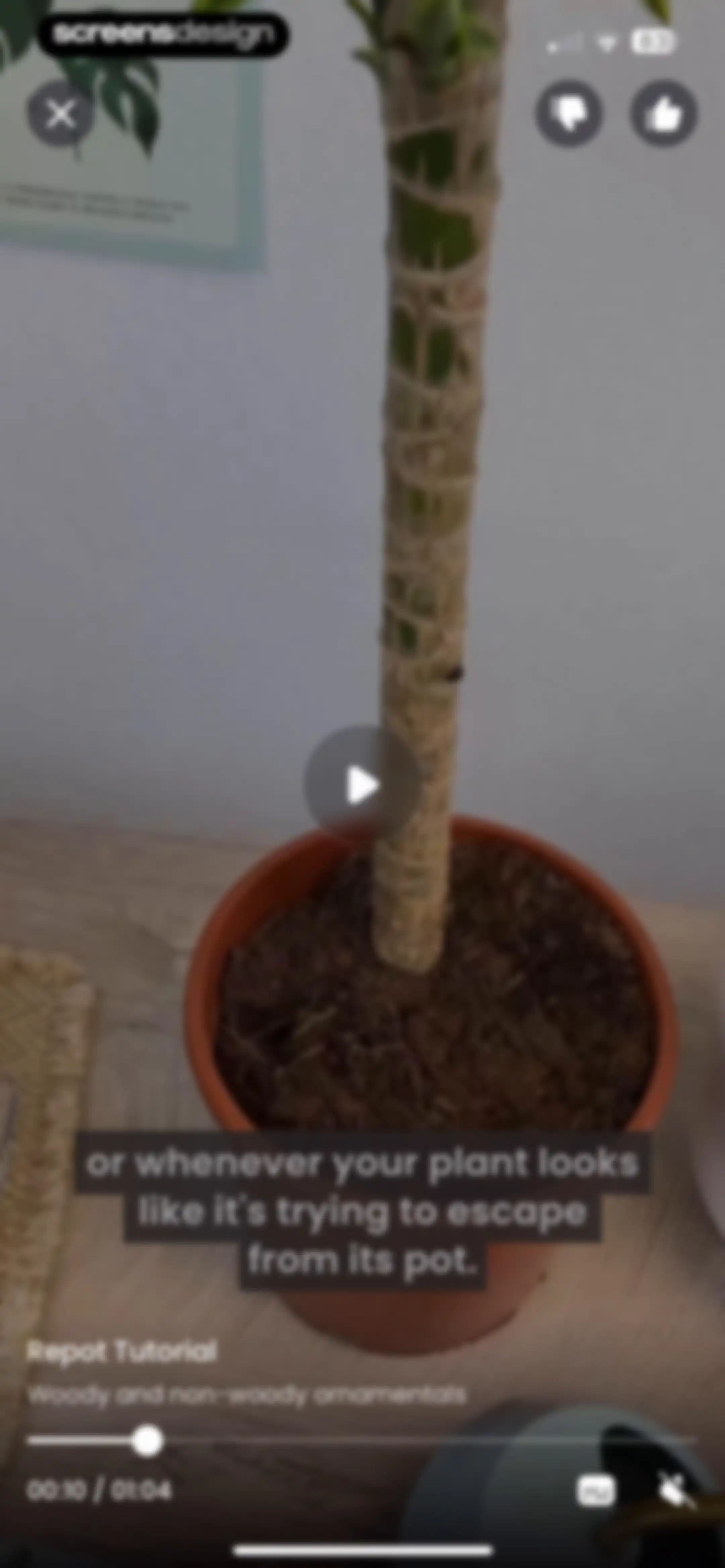 PlantIn: Plant Identifier・Care screen 46