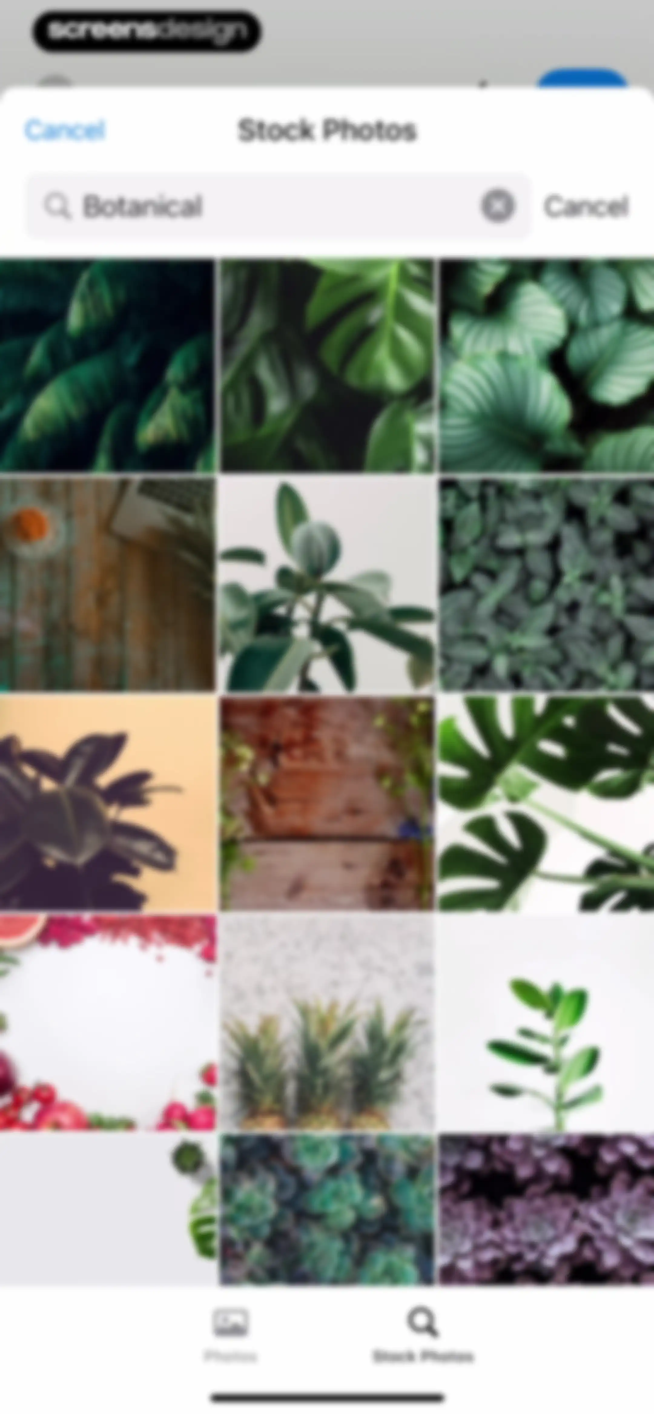 Pixelcut AI Photo Editor screen 101