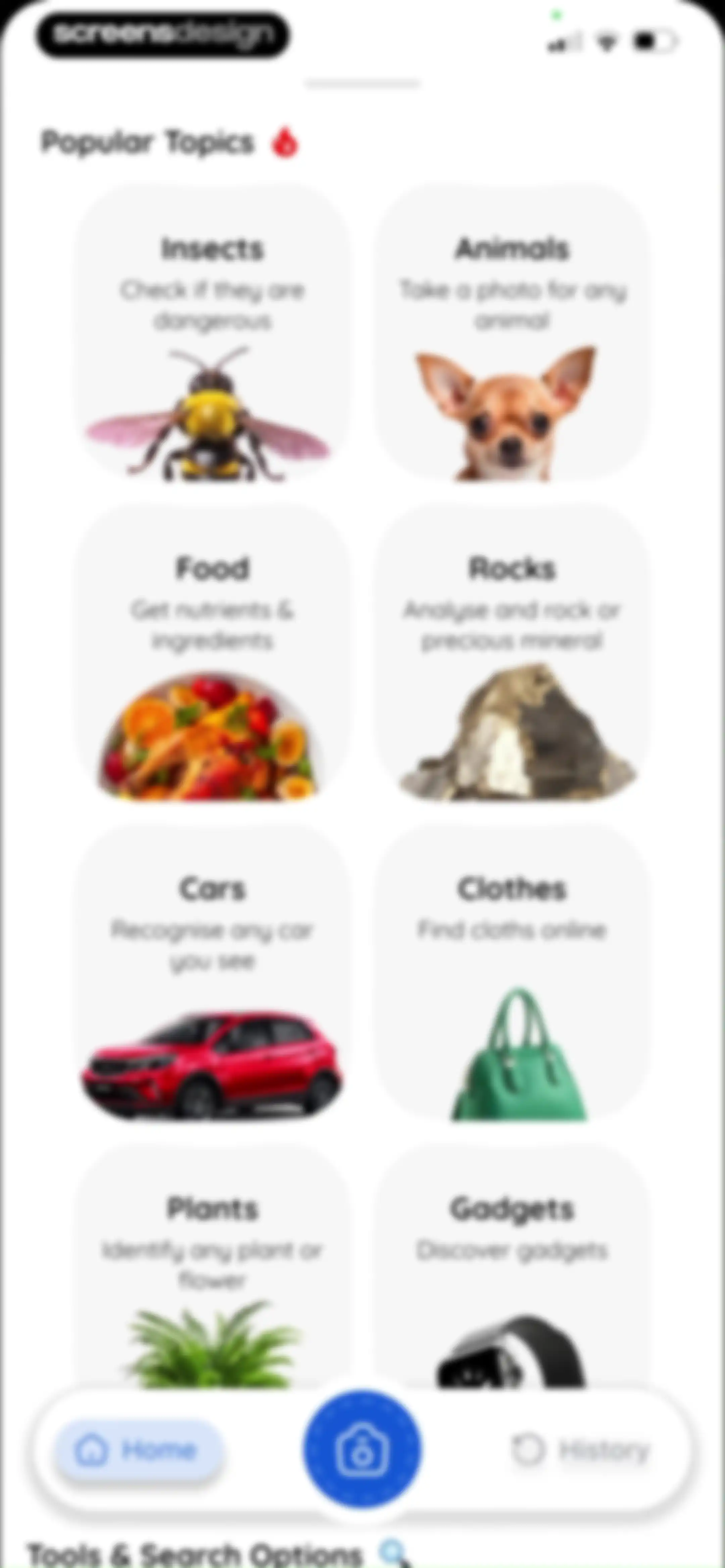 Lens: Translate & Image Search screen 23