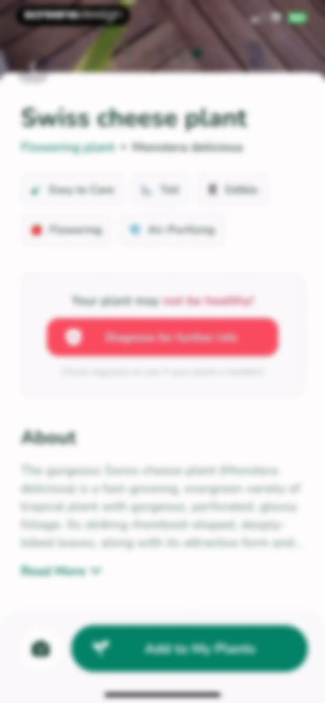 Plantify: AI Plant Identifier screen 14