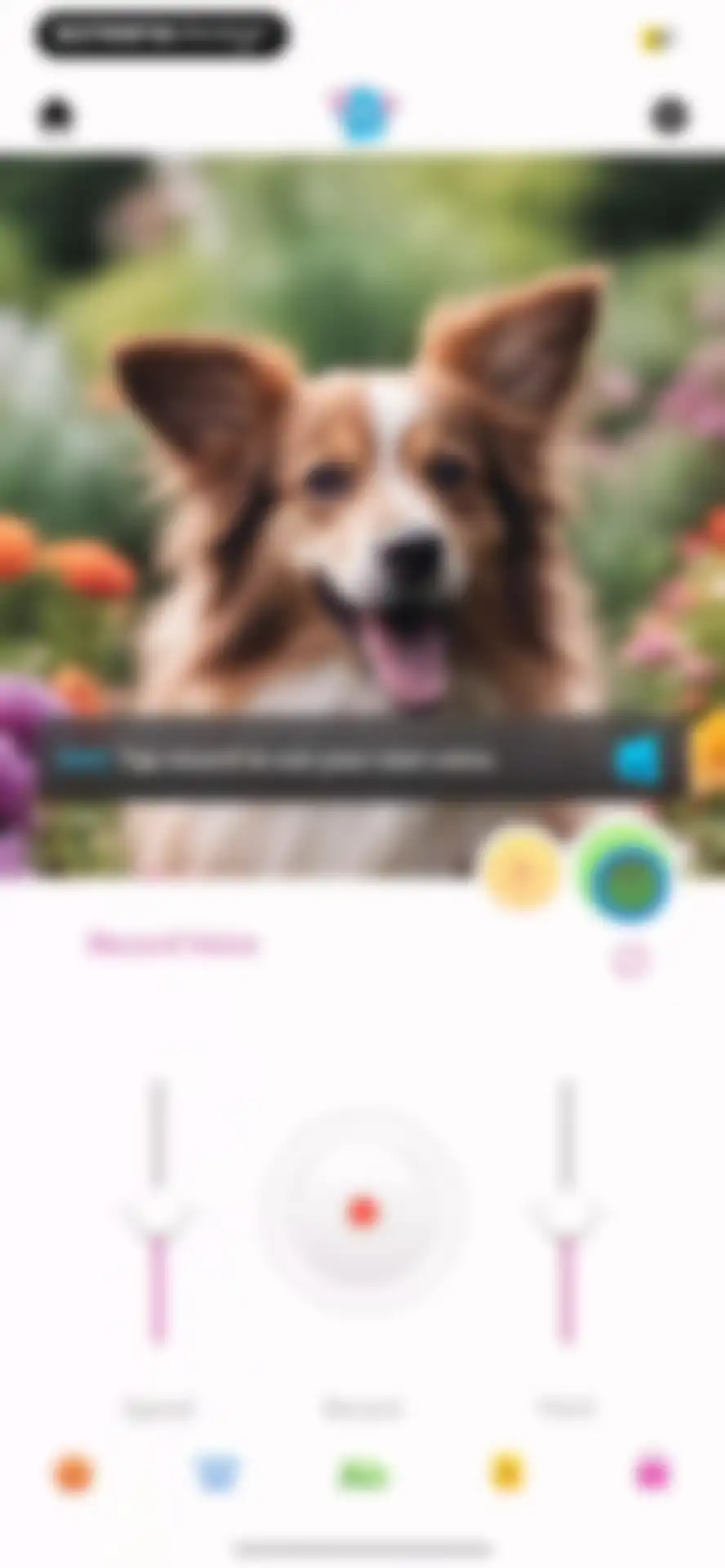 My Talking Pet screen 11