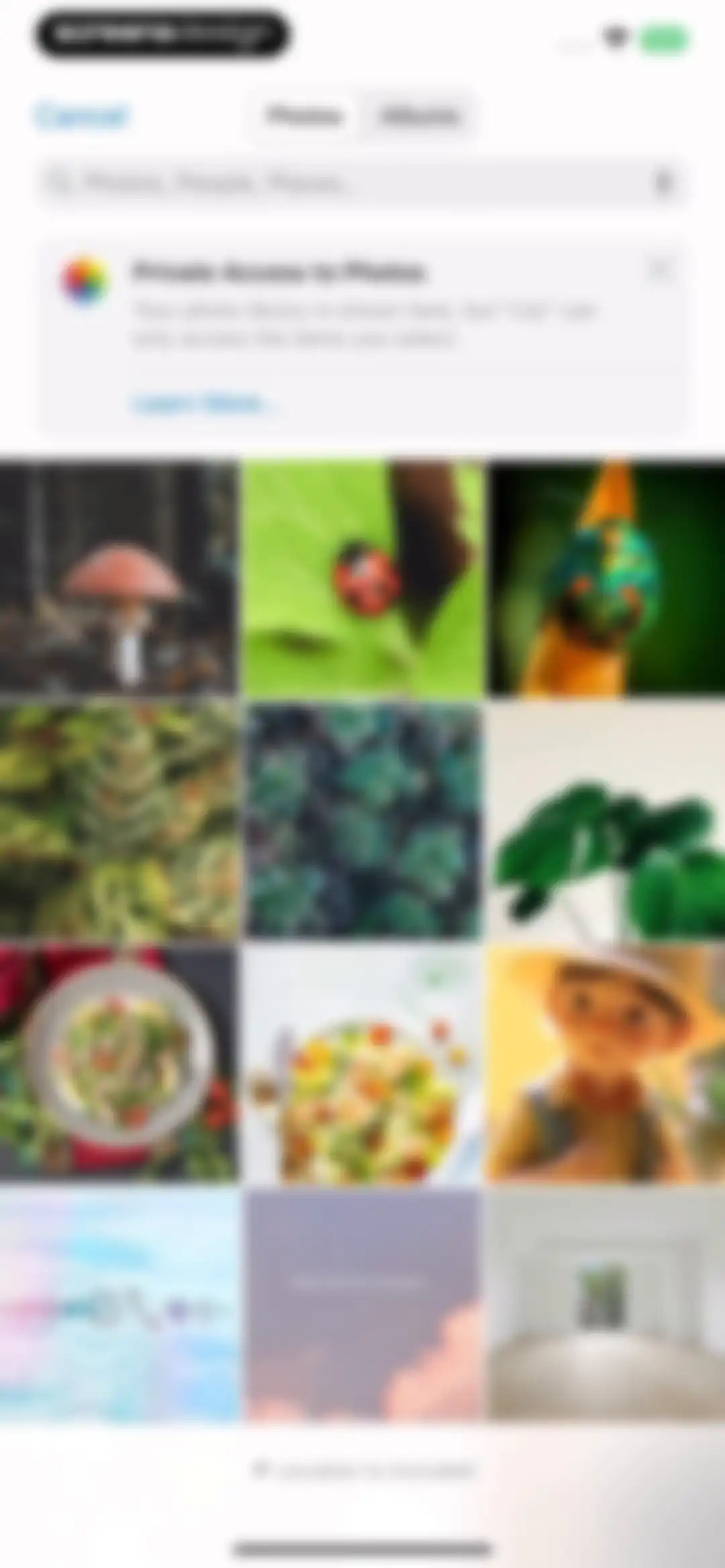 AI Plant Identifier・Care－Lily screen 13