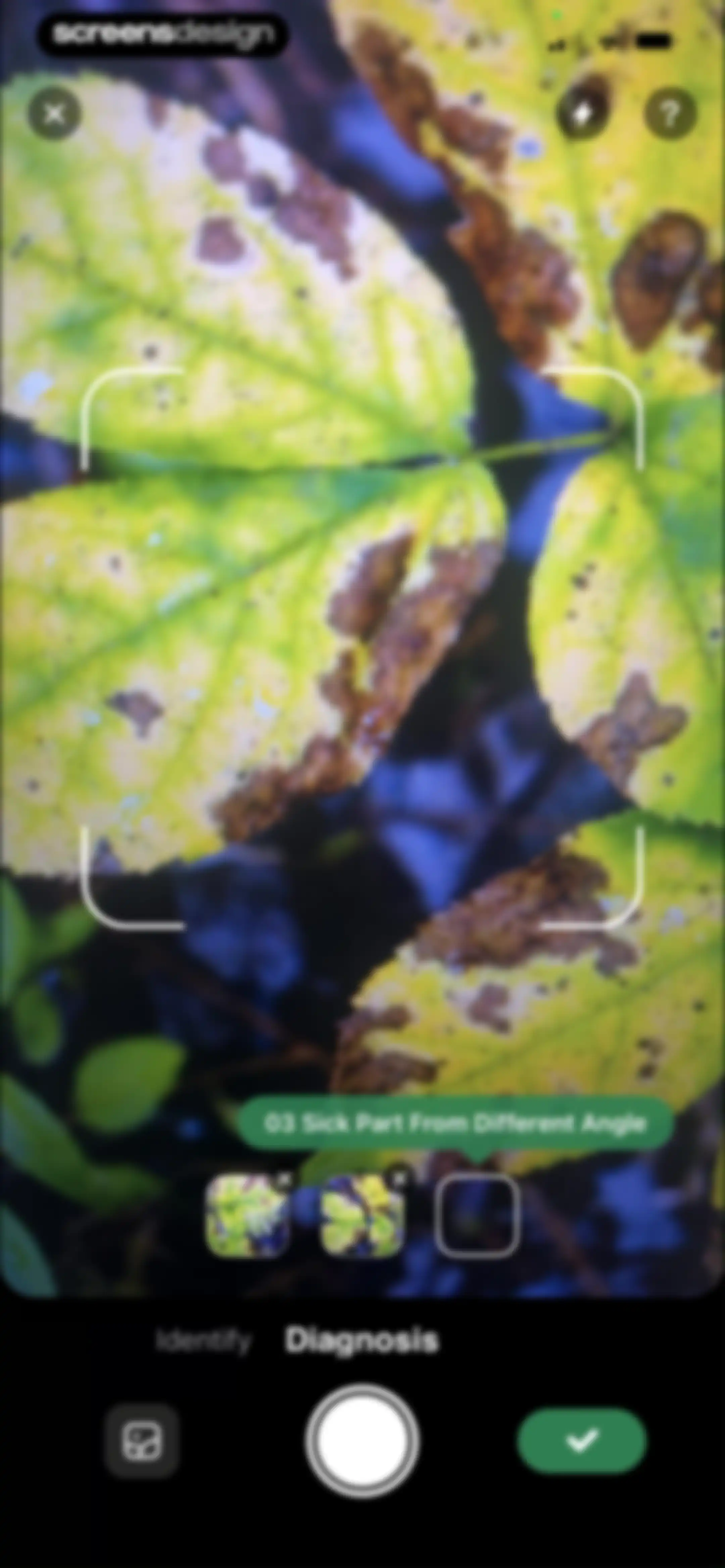 PlantLush: Plant ID & Care Pro screen 34