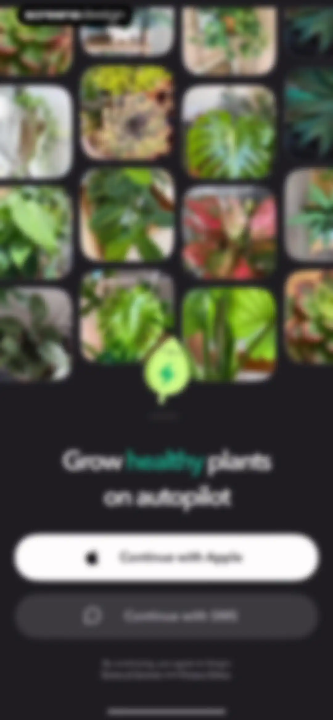 Greg: Plant Identifier & Care screen 2