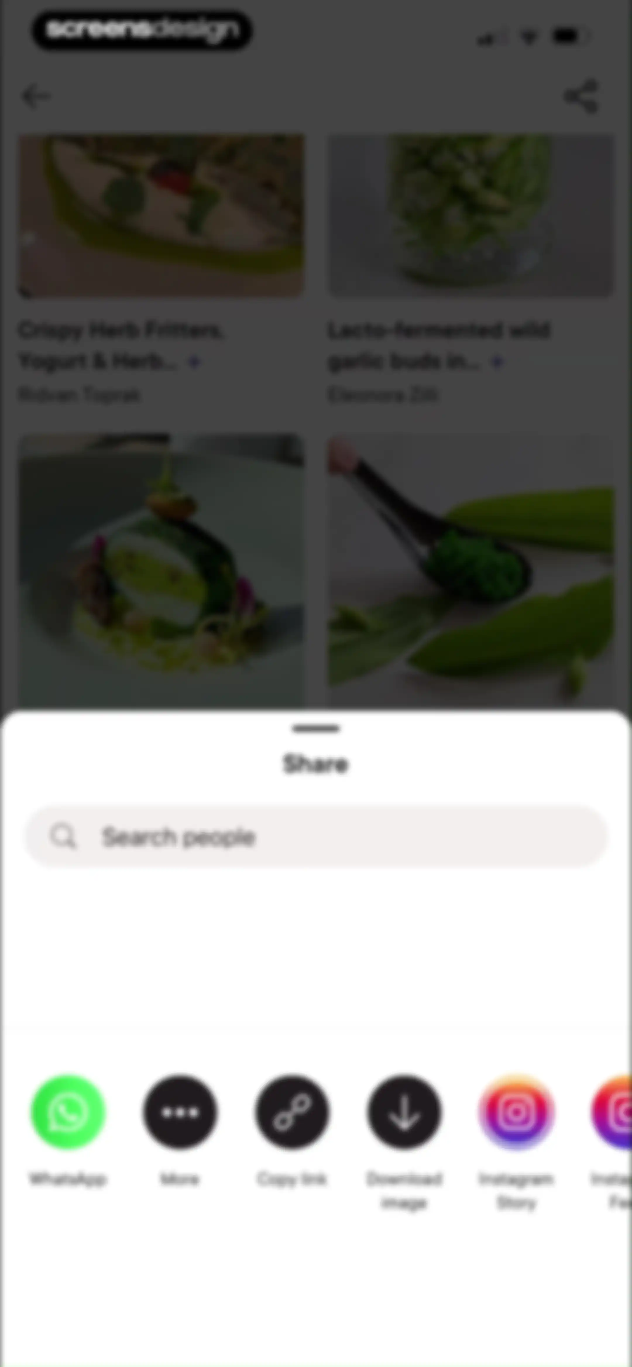 Gronda: Recipes for Chefs screen 55