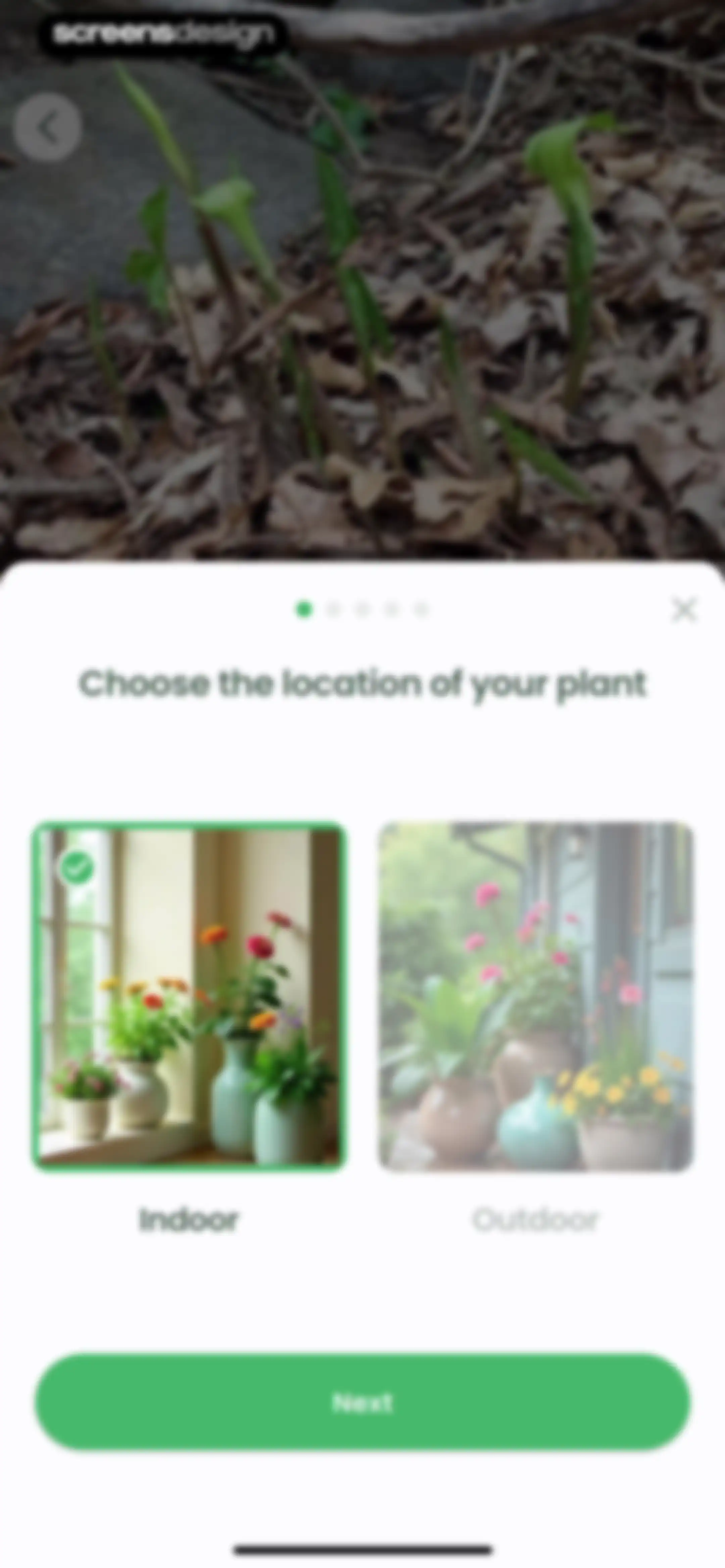 Plant Identifier: Plantiary screen 23