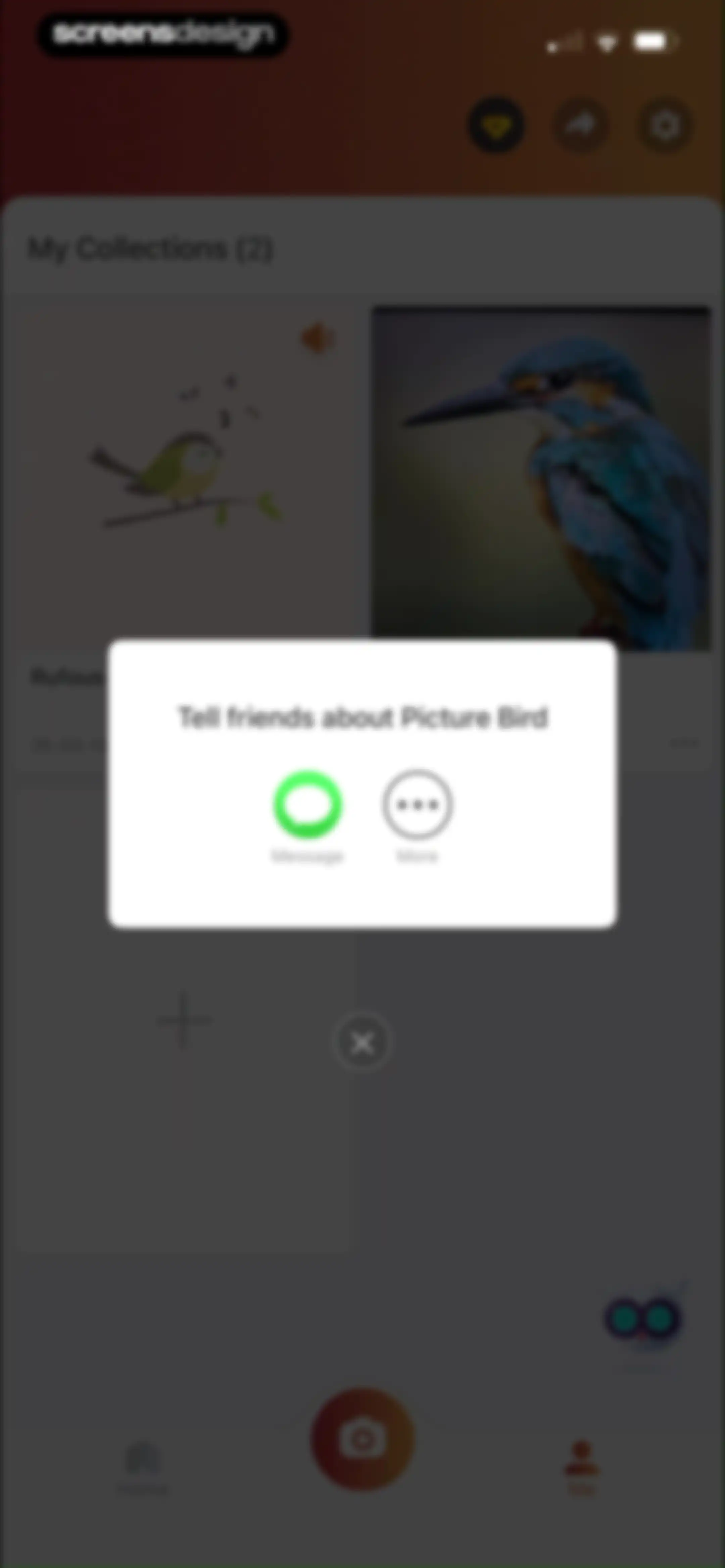Picture Bird: Bird identifier screen 107
