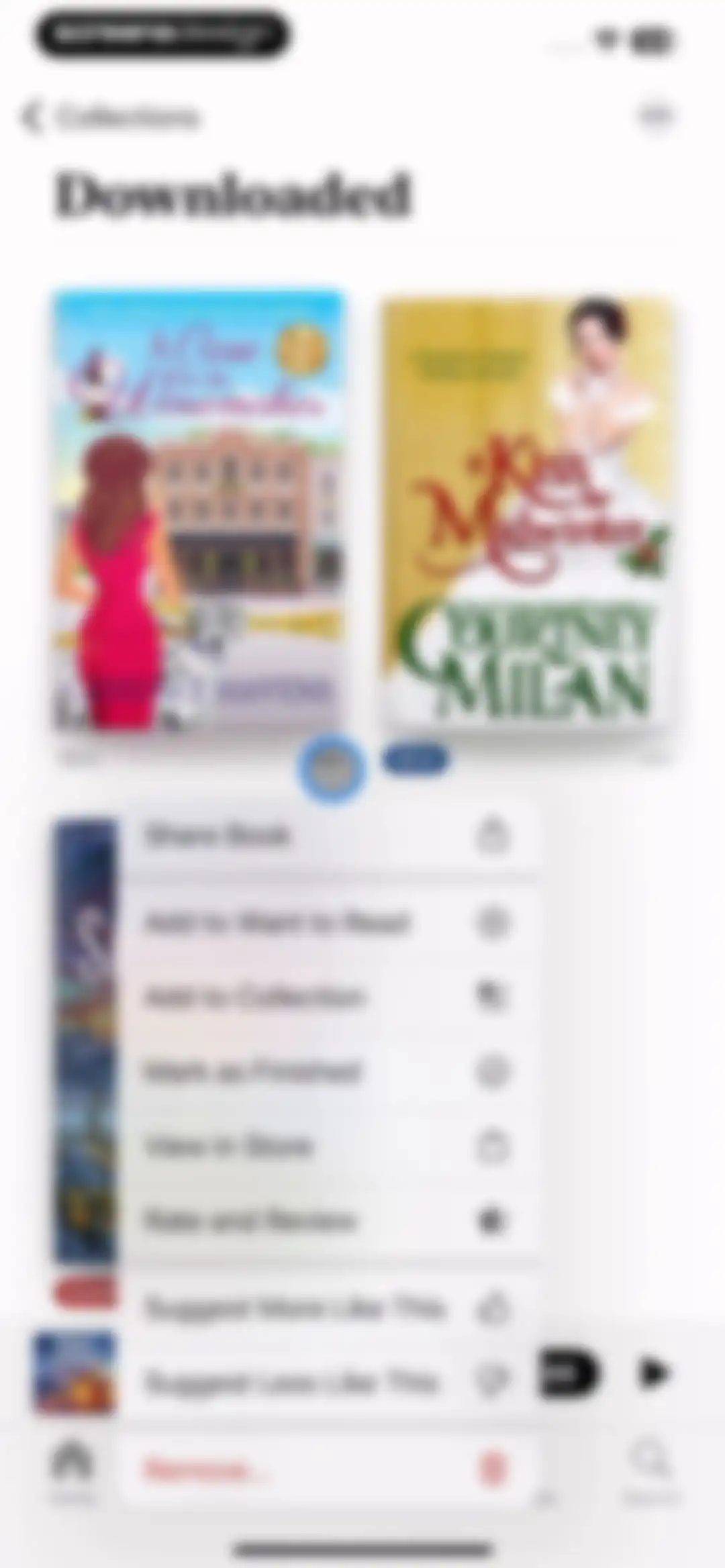 Apple Books screen 117