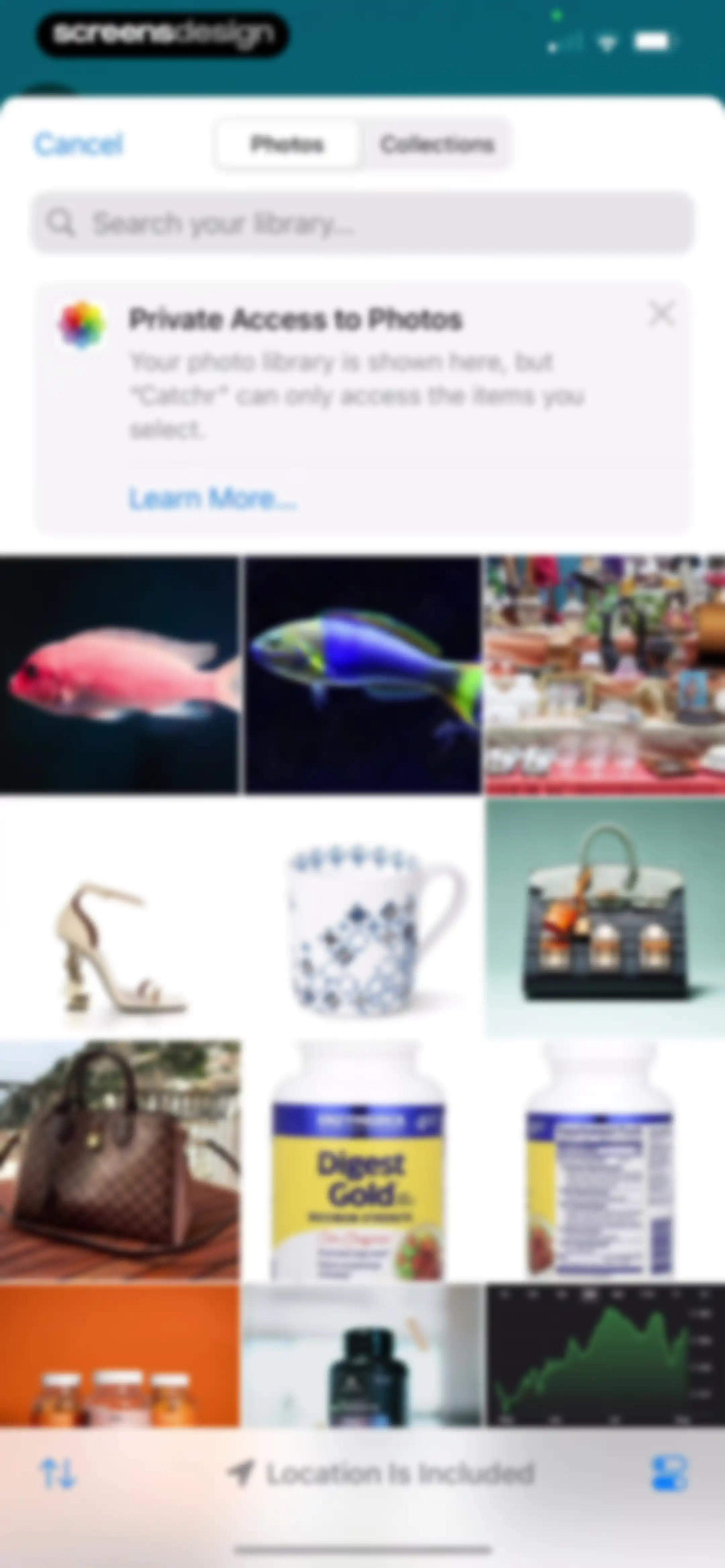Catchr: Fish Identifier screen 70