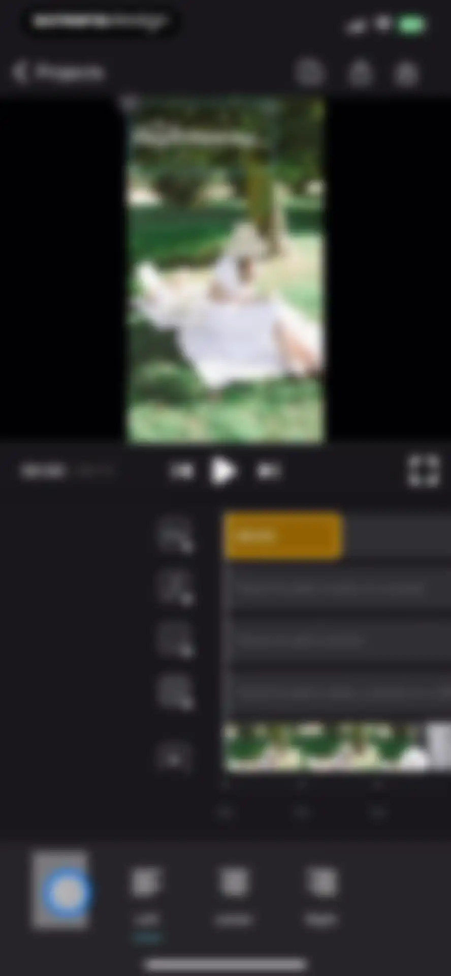 Video Editor · screen 17