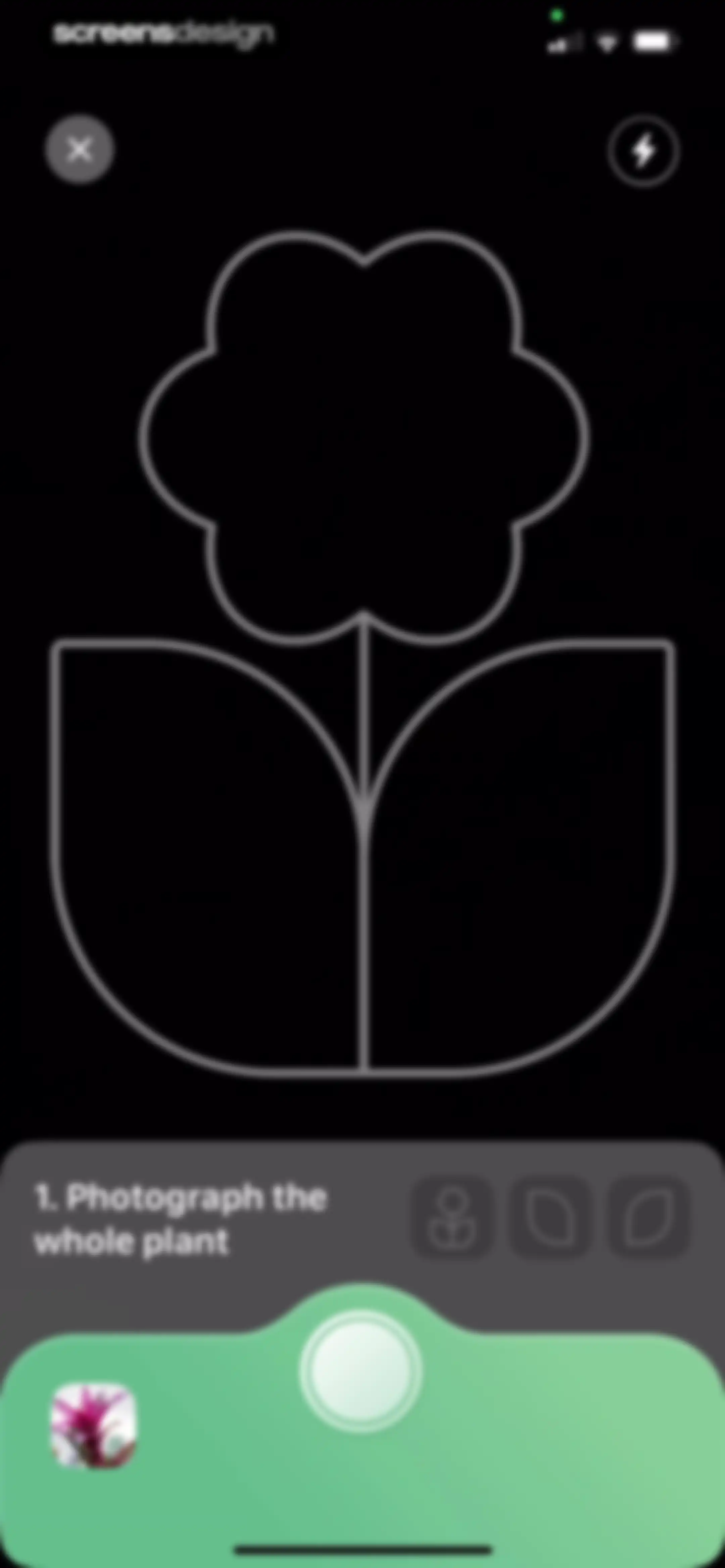 Blossom - Plant Care Guide screen 69