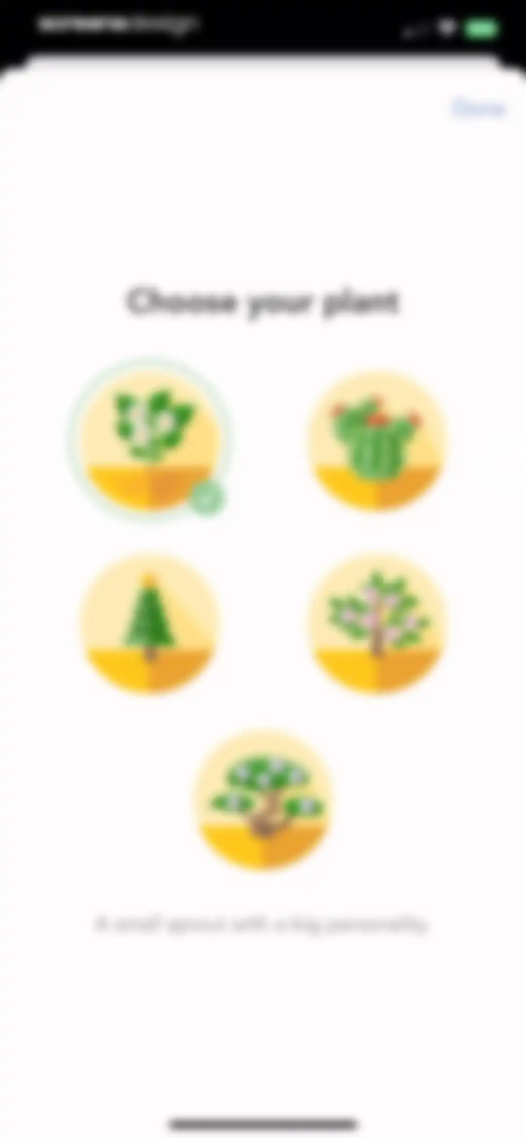 Evergreen: Relationship Growth screen 32