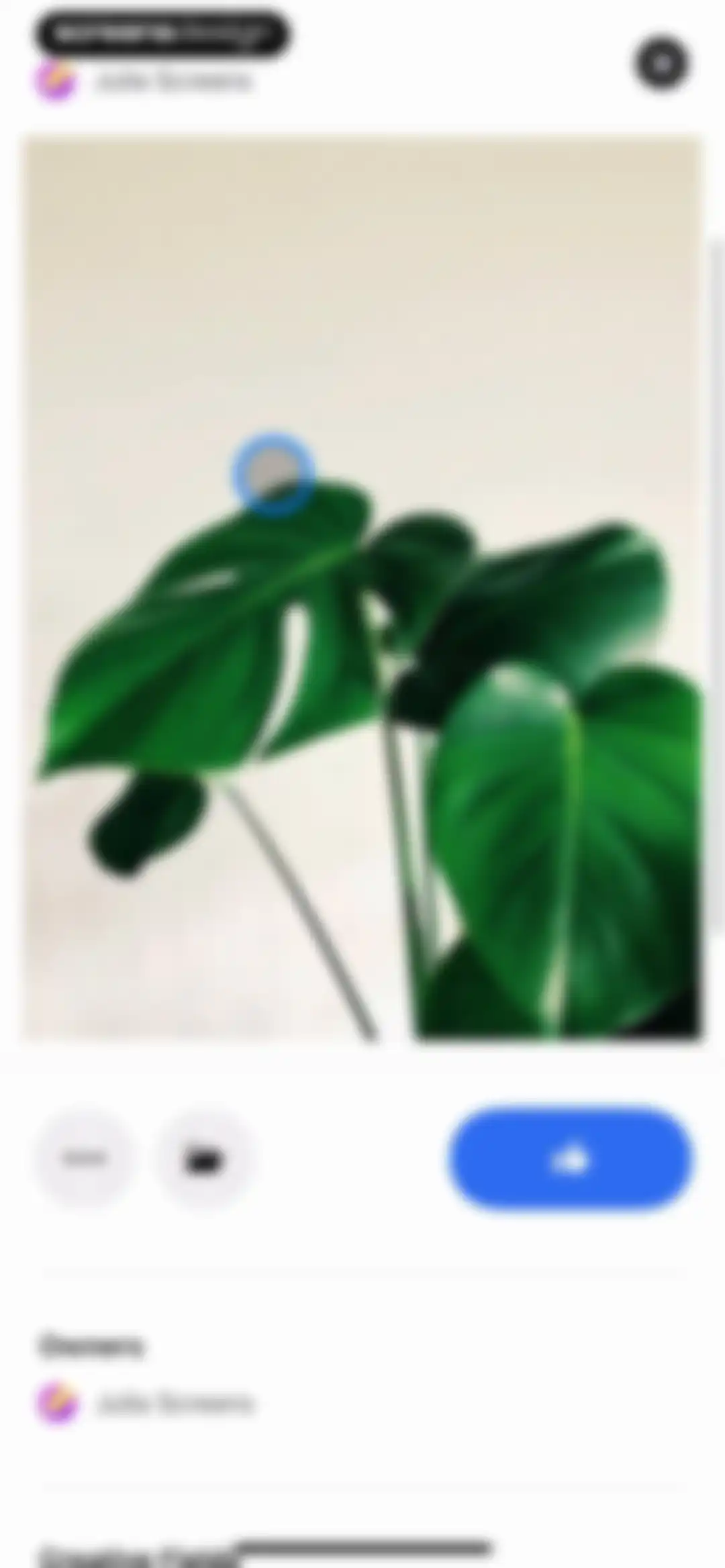 Behance – Creative Portfolios screen 141