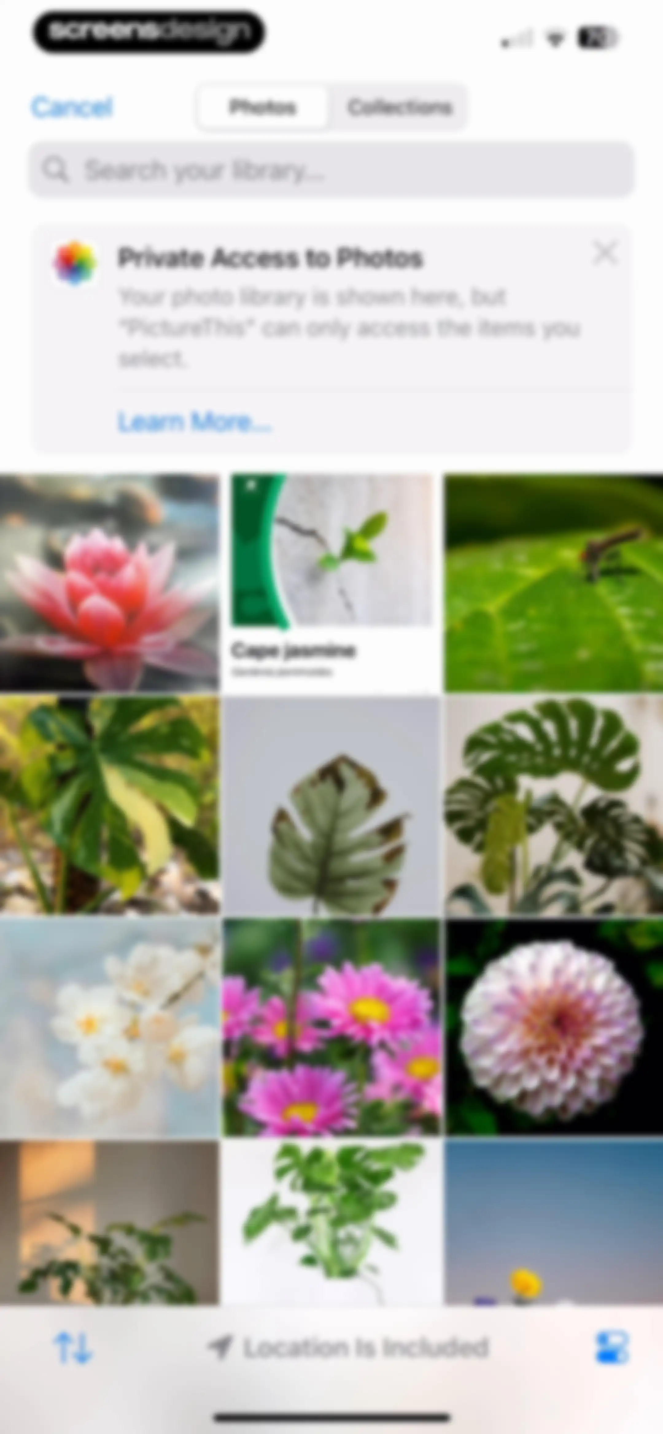 PictureThis - Plant Identifier screen 208