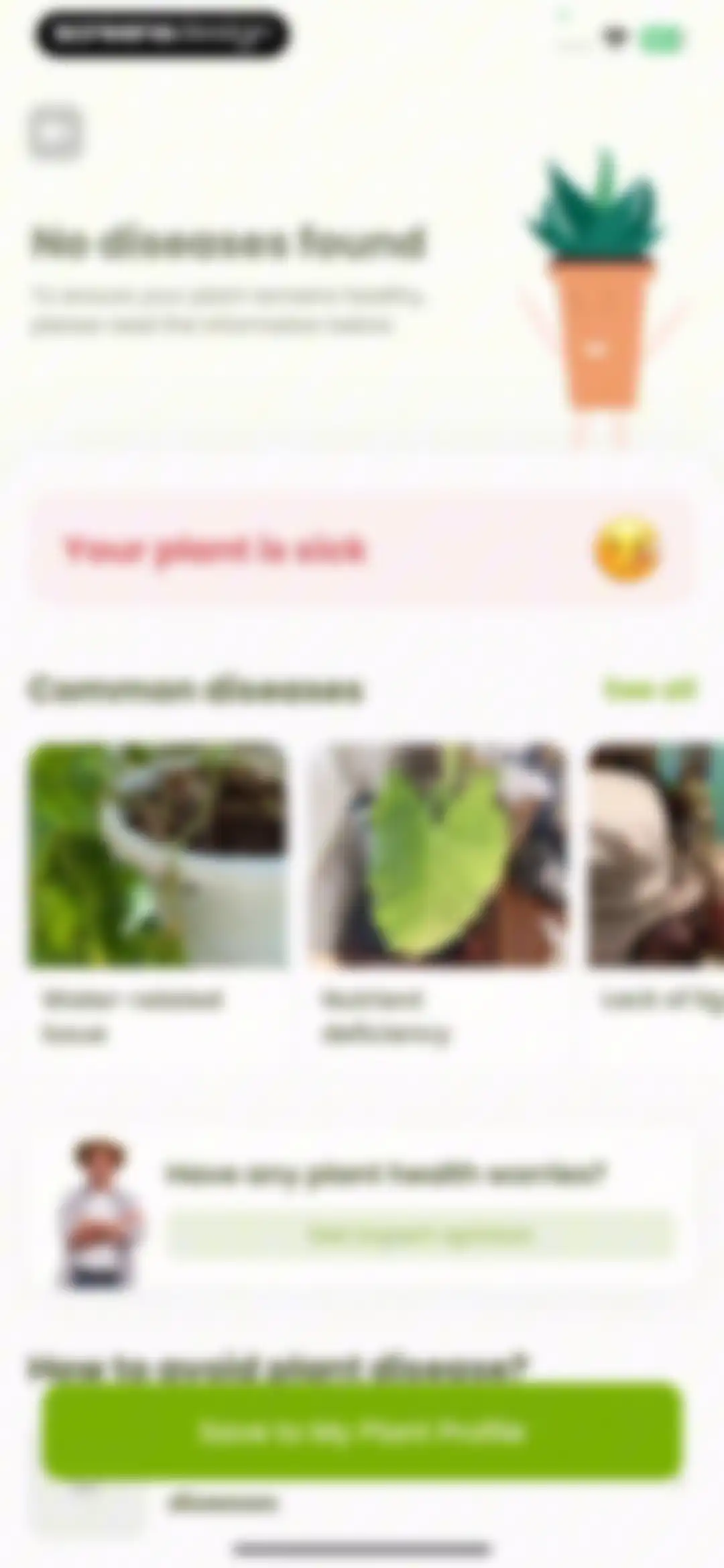 Plant Identifier & Care: Ficus screen 55