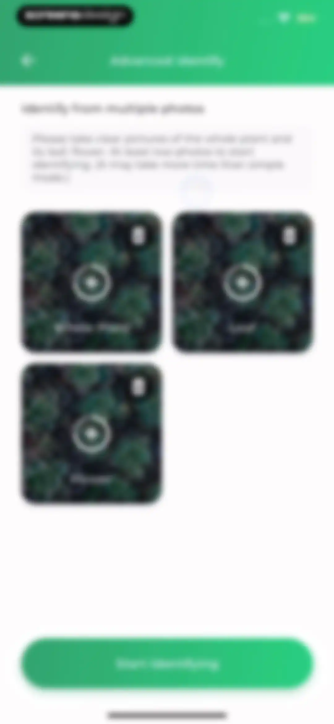 Plant Identifier: LeafSnap screen 26