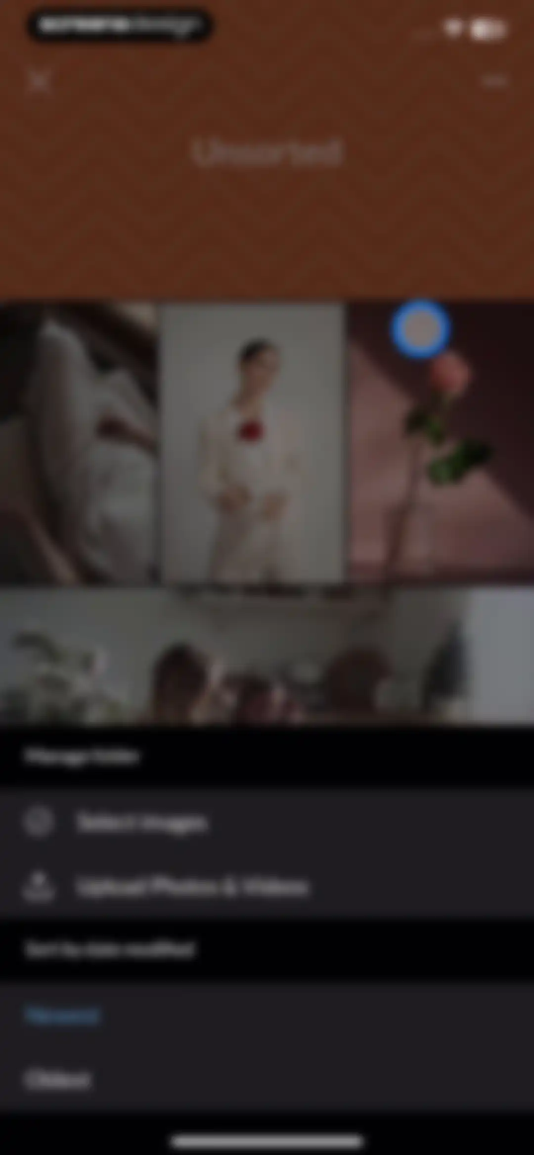 PicMonkey Photo + Video Design screen 93