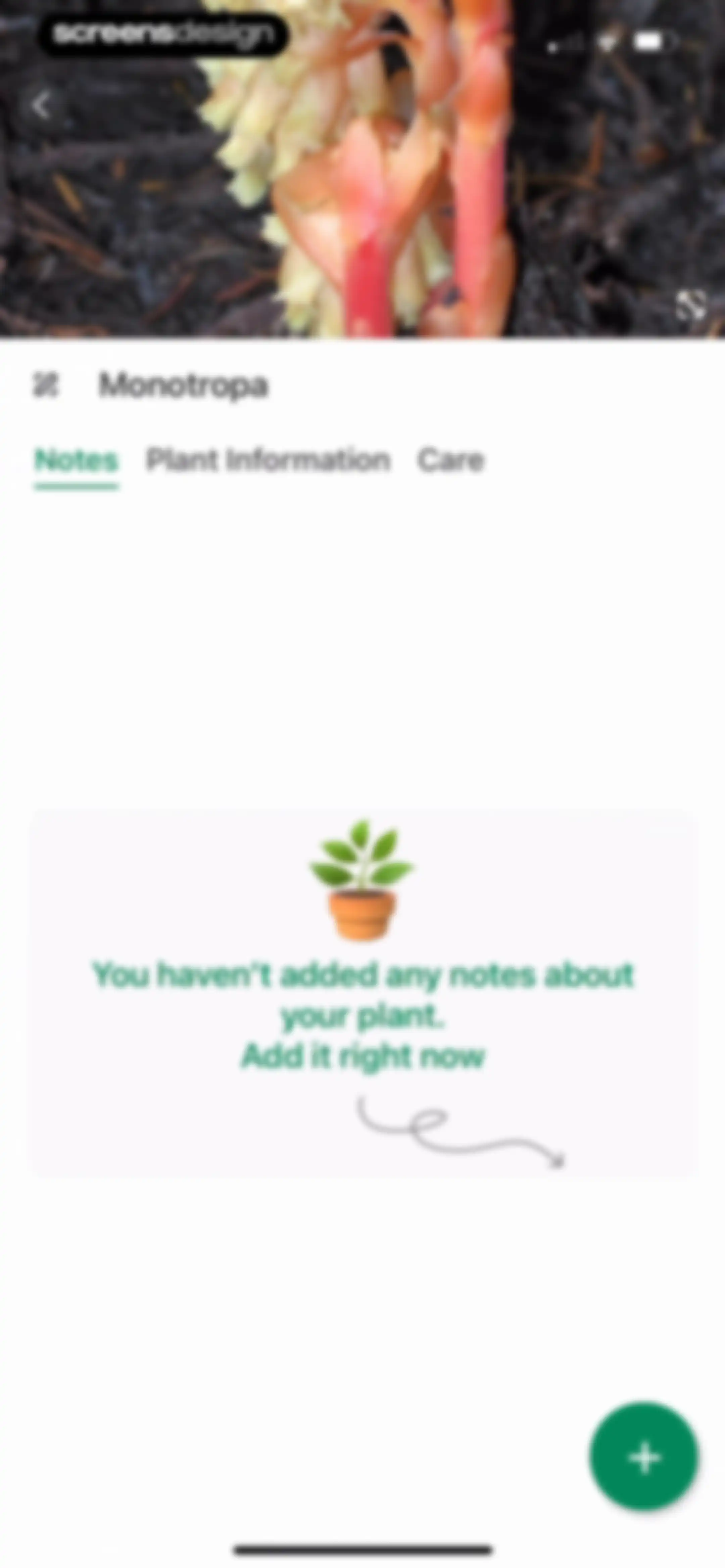Identify My Plant Now screen 74