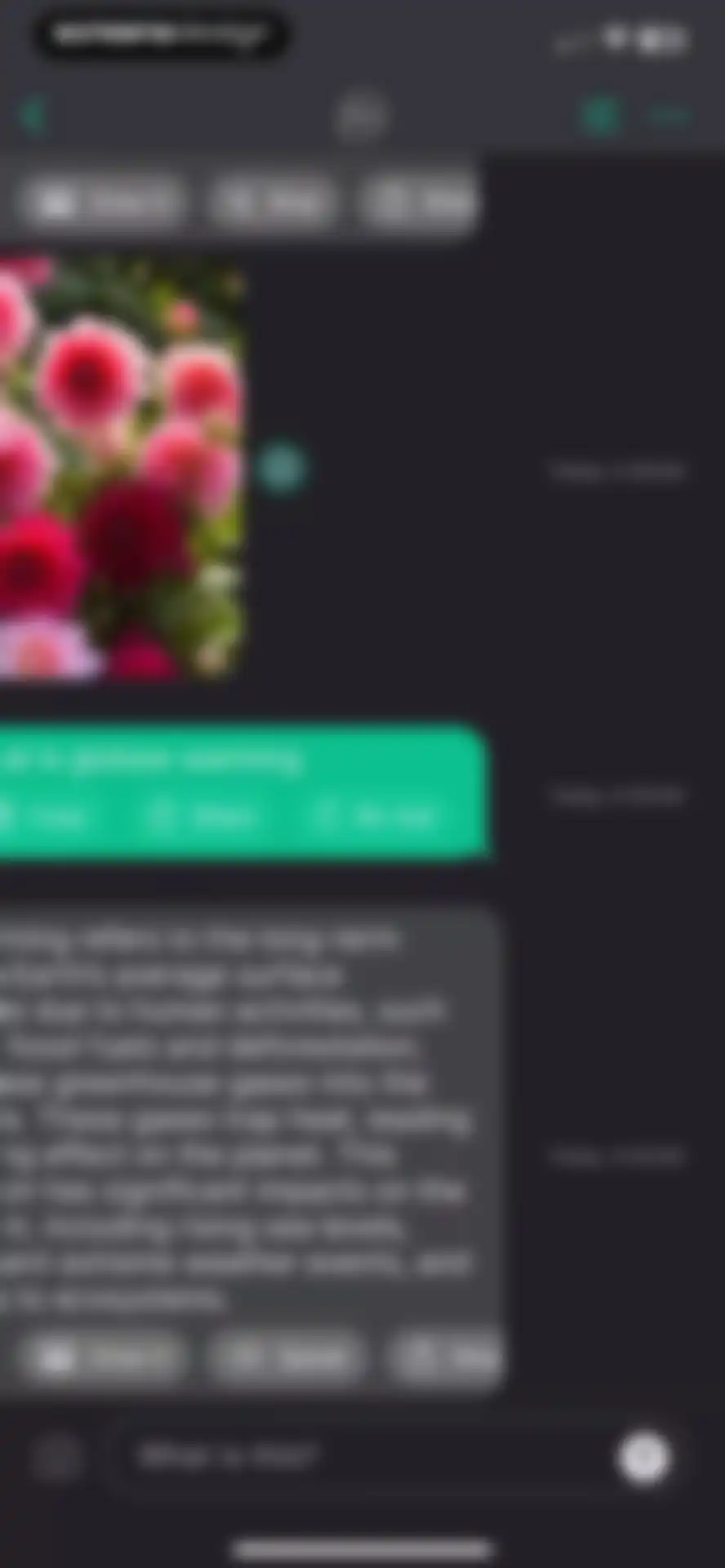 AI+ Chat & Al Video Generator screen 21
