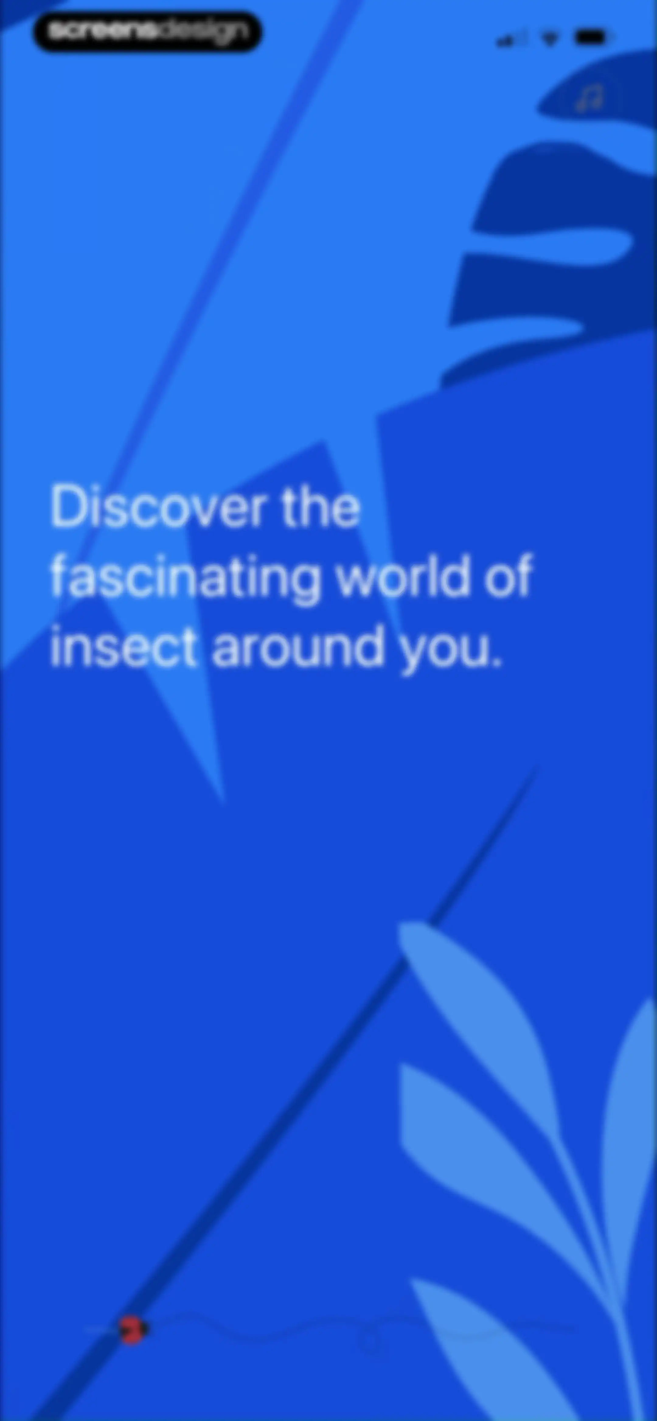 Picture Insect: Bug Identifier screen 5