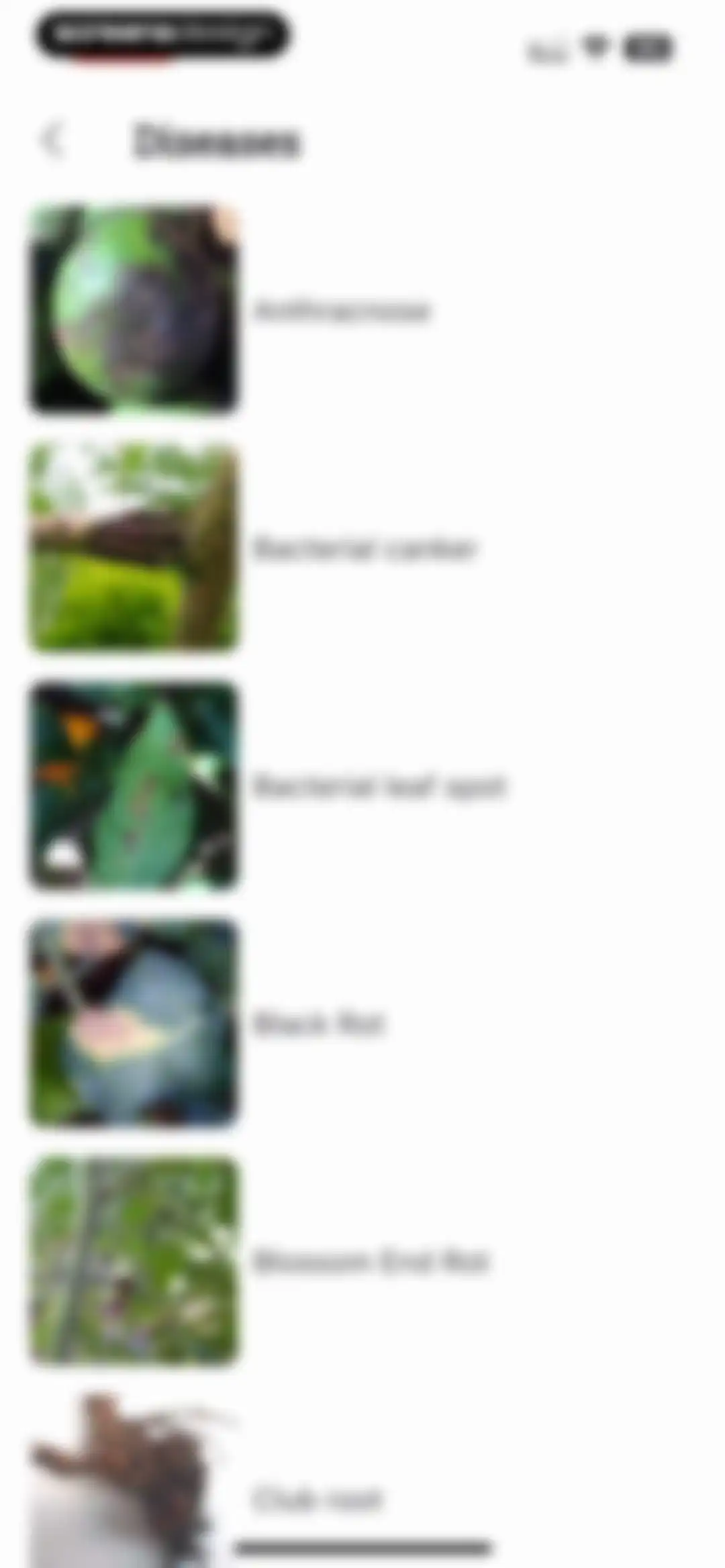 Planter: Garden Planner screen 80