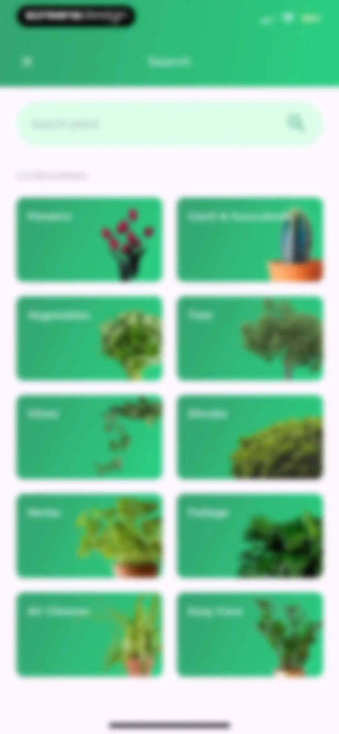 Plant Identifier: LeafSnap screen 19
