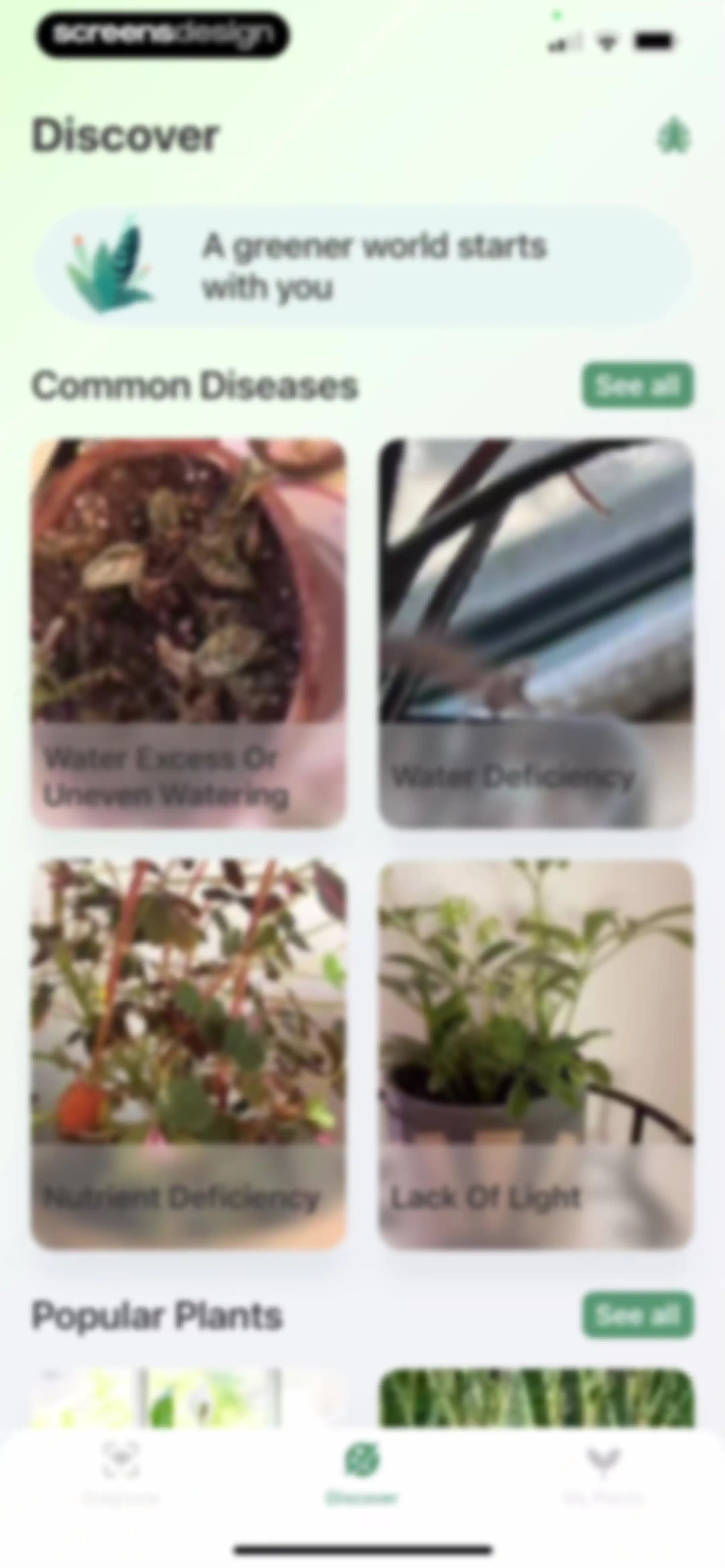 Verde Finder : identify plants screen 52