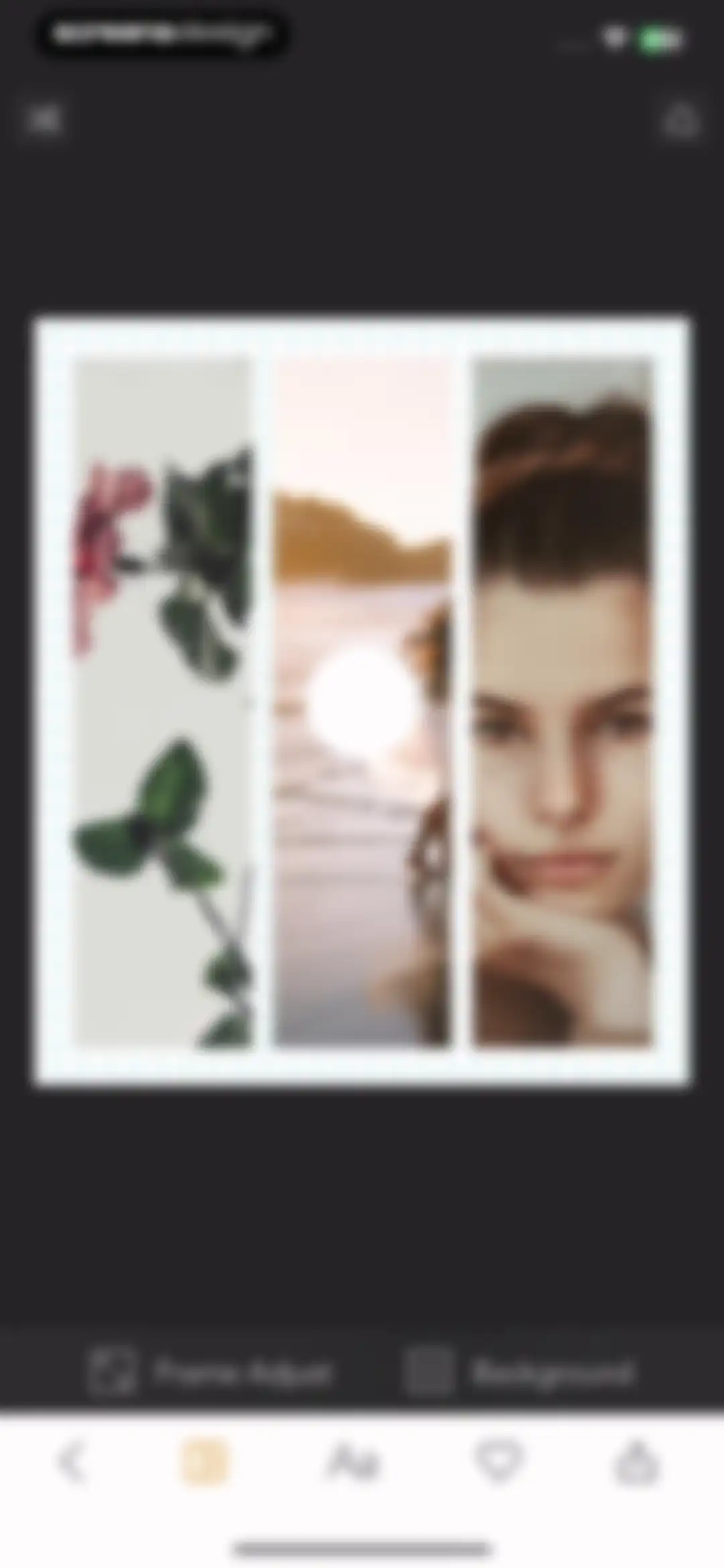 MOLDIV Photo Editor, Collage screen 88