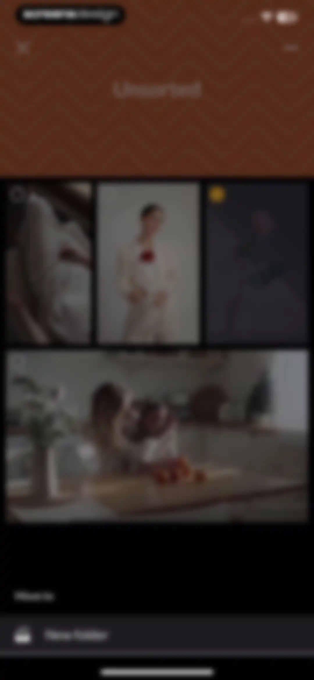 PicMonkey Photo + Video Design screen 95
