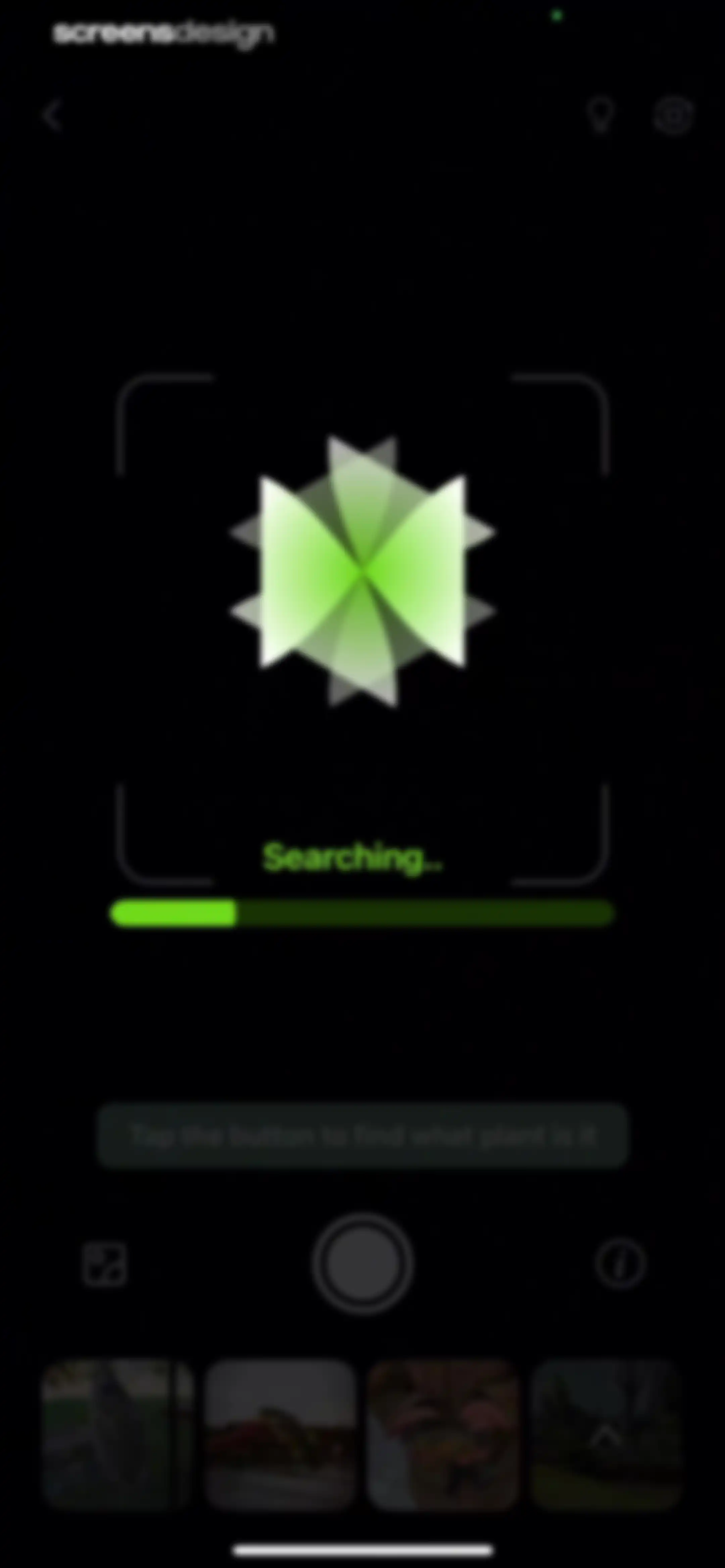 Verde Finder : identify plants screen 24