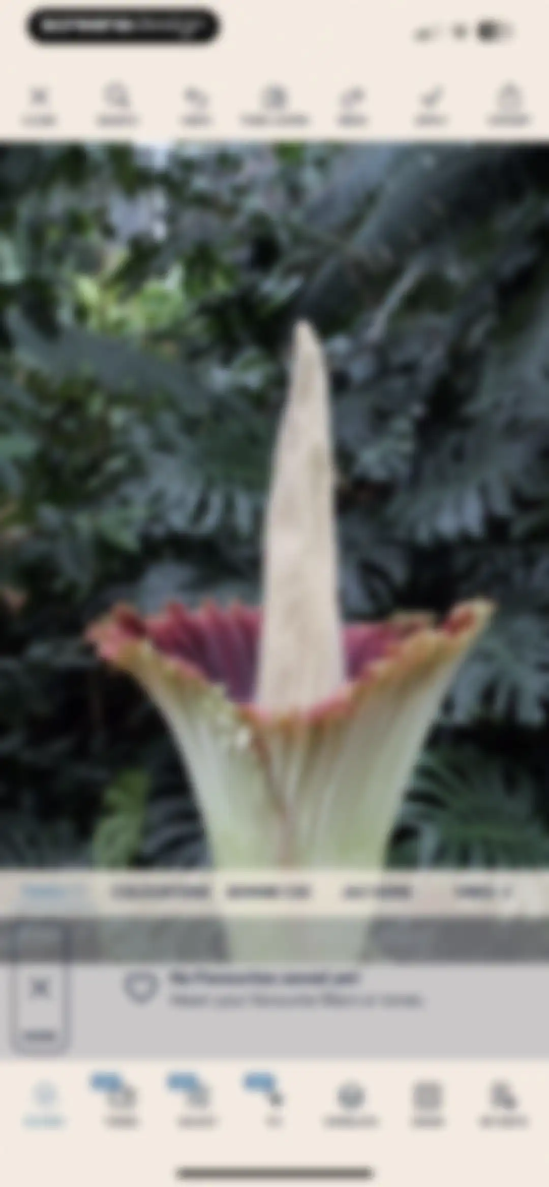 Colourtone: Photo Editor screen 30
