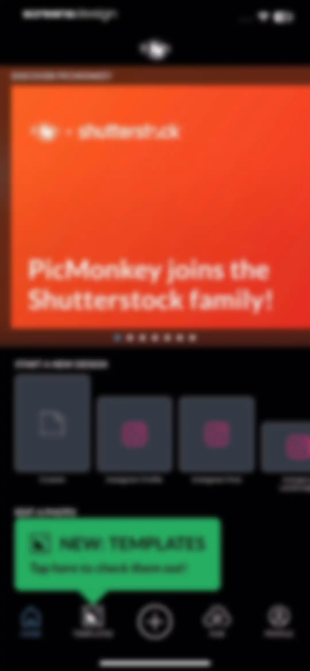 PicMonkey Photo + Video Design screen 8