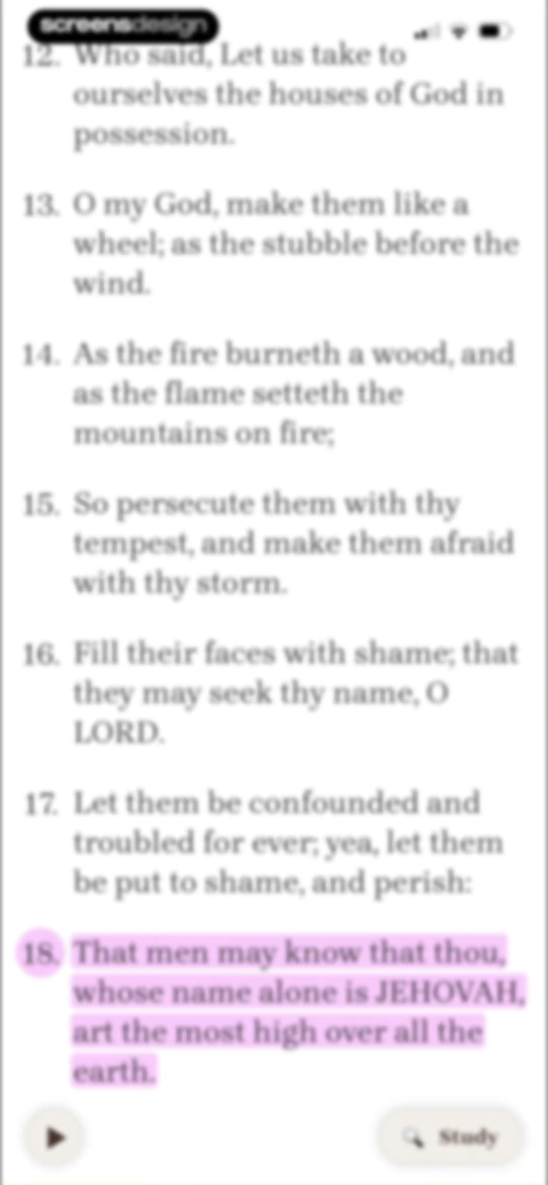 Bible Note: Sermon Notes screen 118