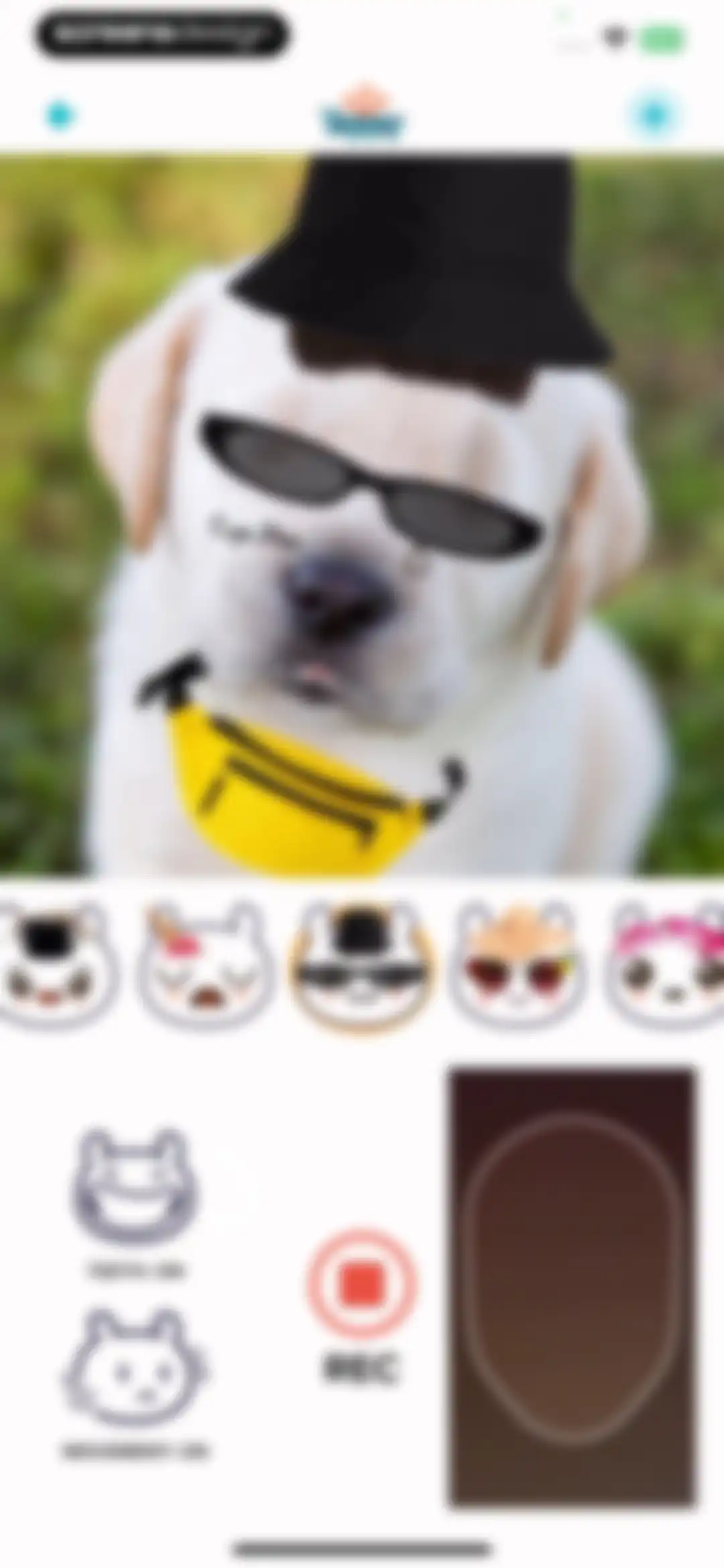 My Talking Animal & Pet App screen 20