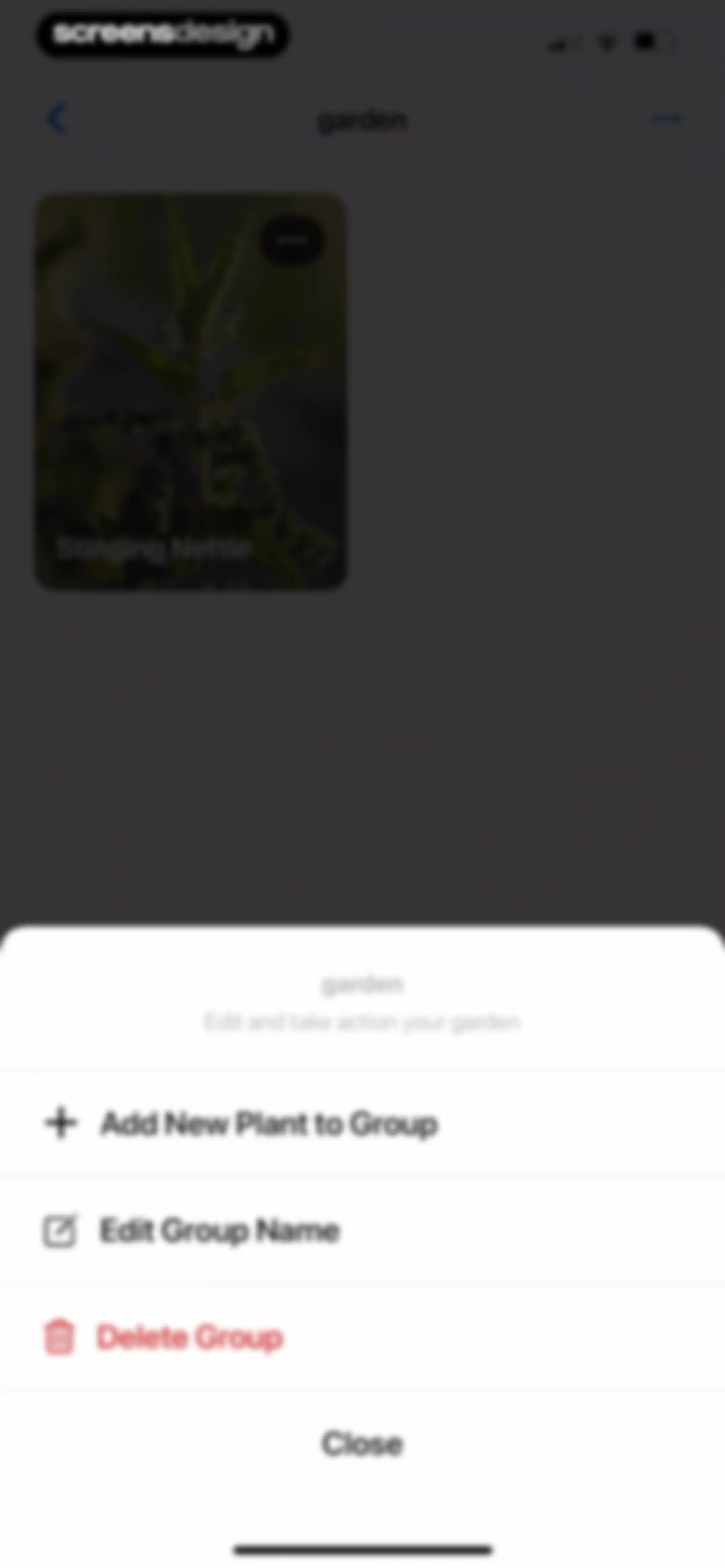 Plant App: Plant Identifier screen 133