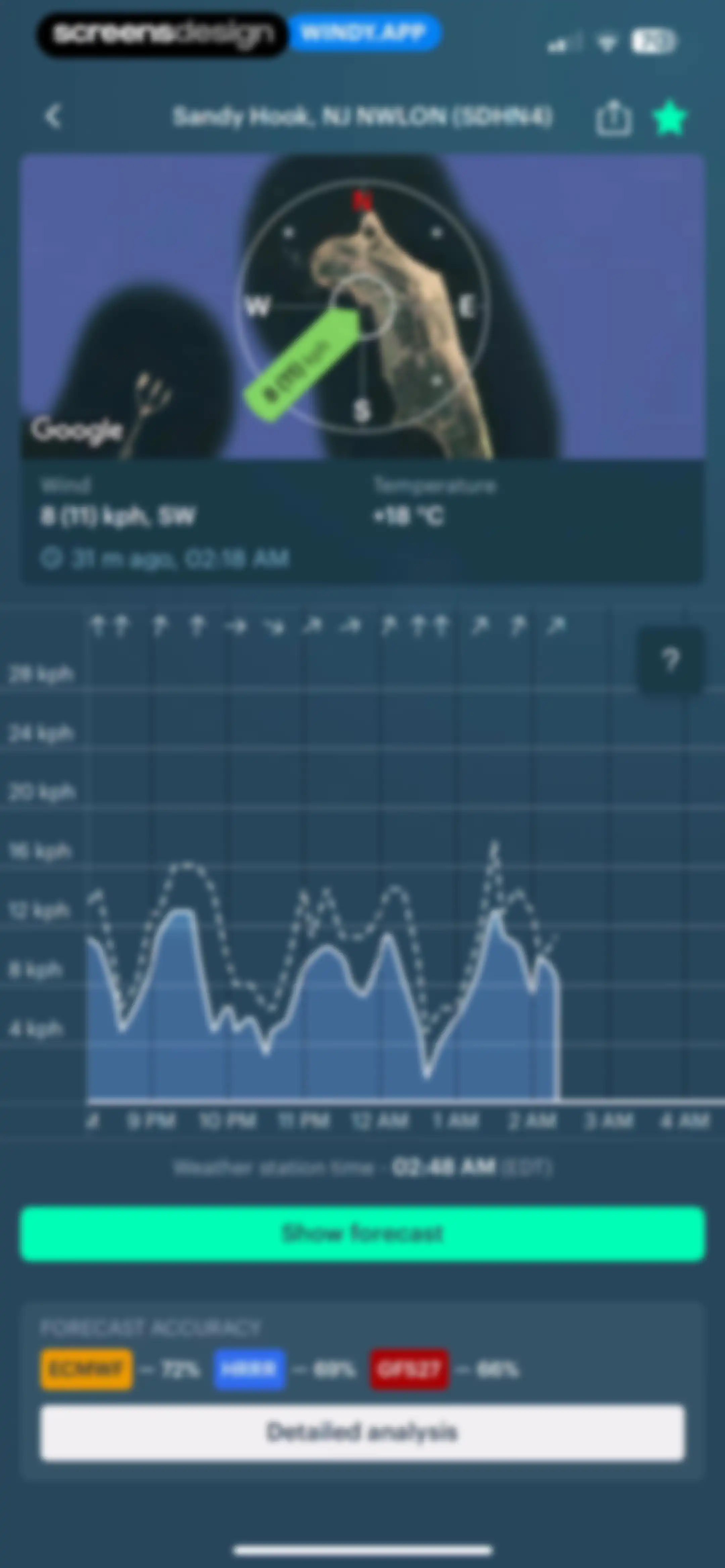 Windy.app — Wind, Tides, Radar screen 95
