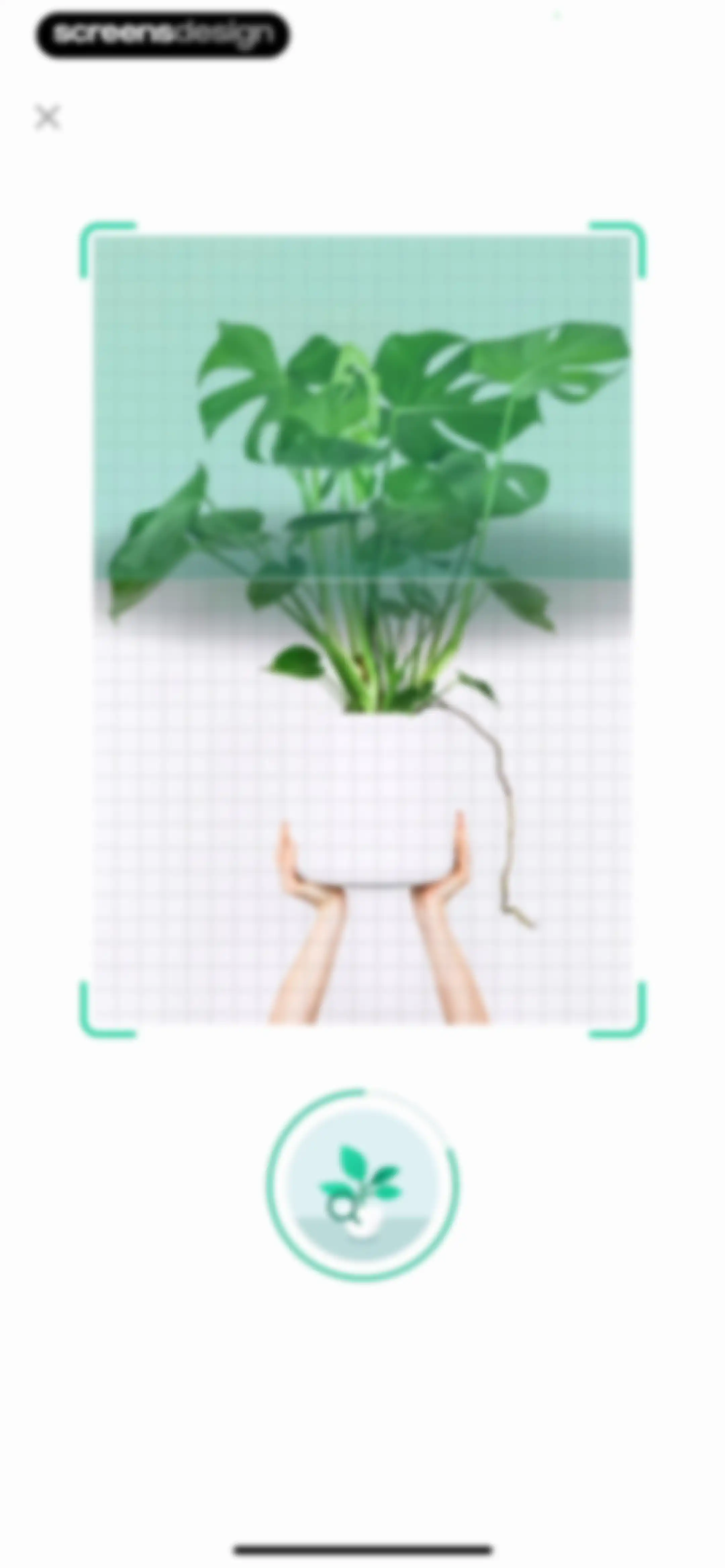 Plant Parent: Plant Care Guide screen 172