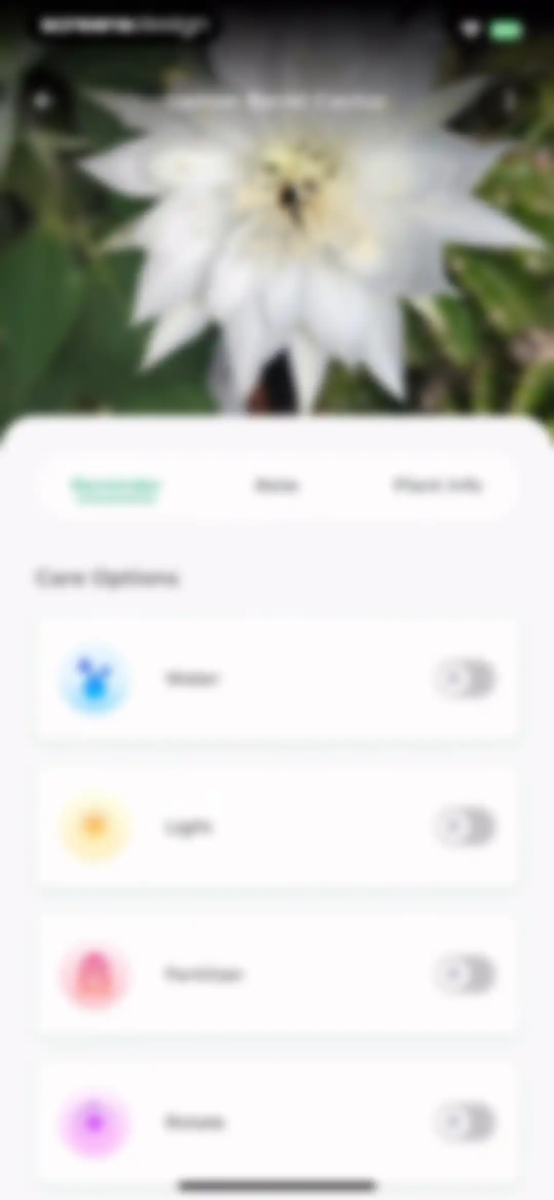 Plant Identifier: LeafSnap screen 52