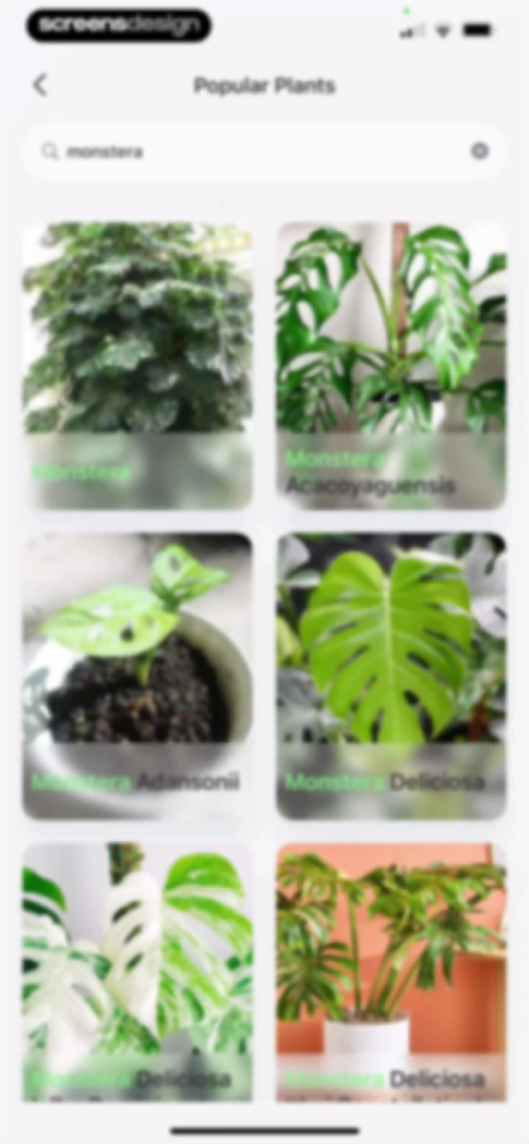 Verde Finder : identify plants screen 57