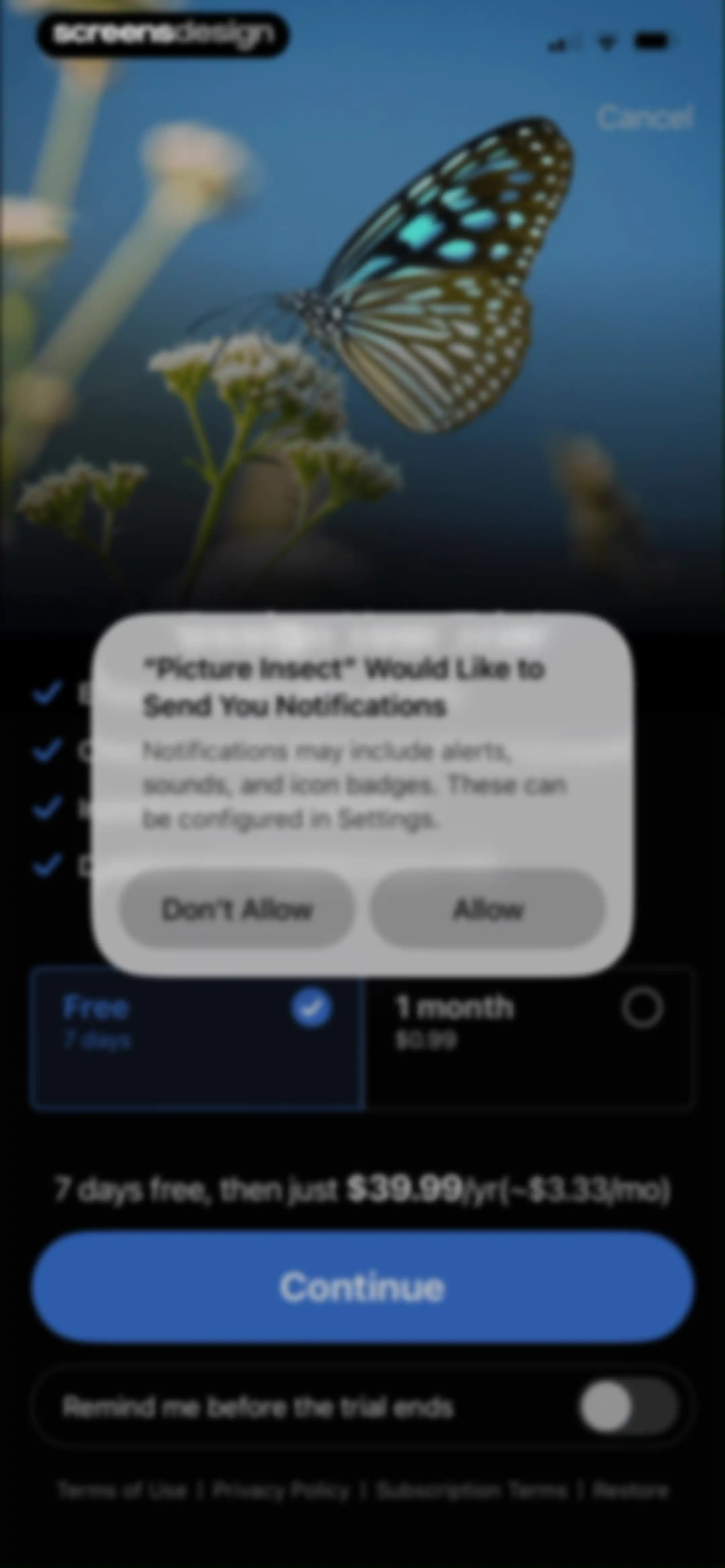 Picture Insect: Bug Identifier screen 14