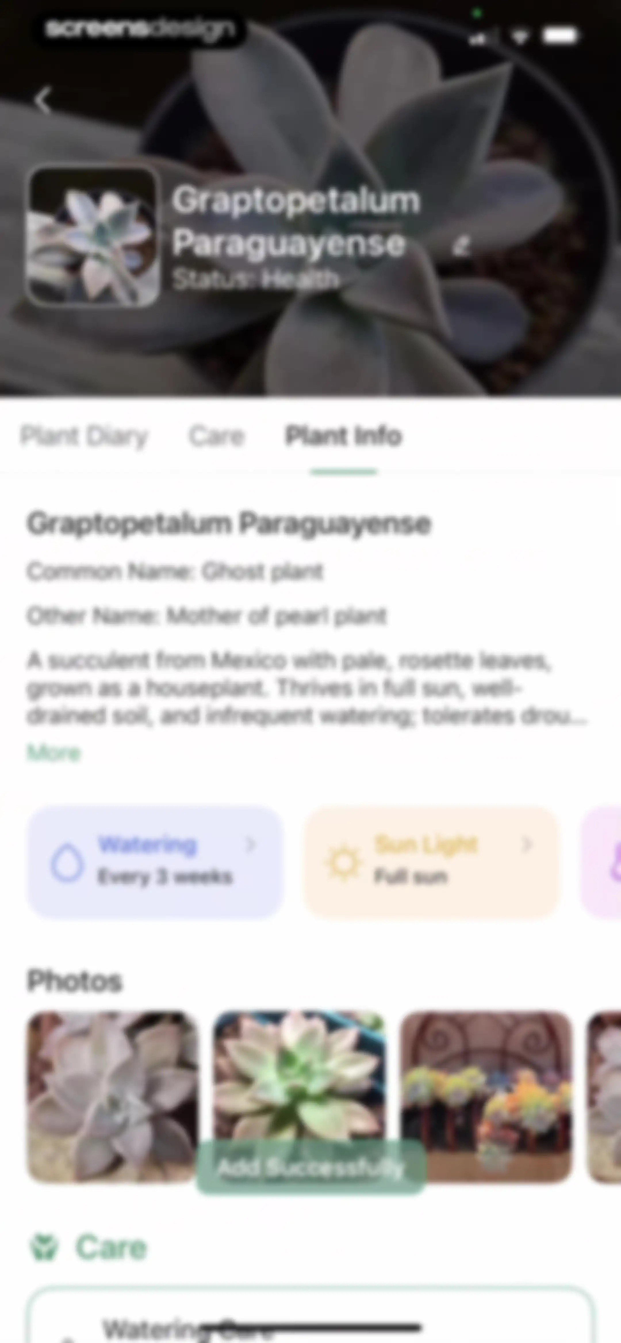 Verde Finder : identify plants screen 64