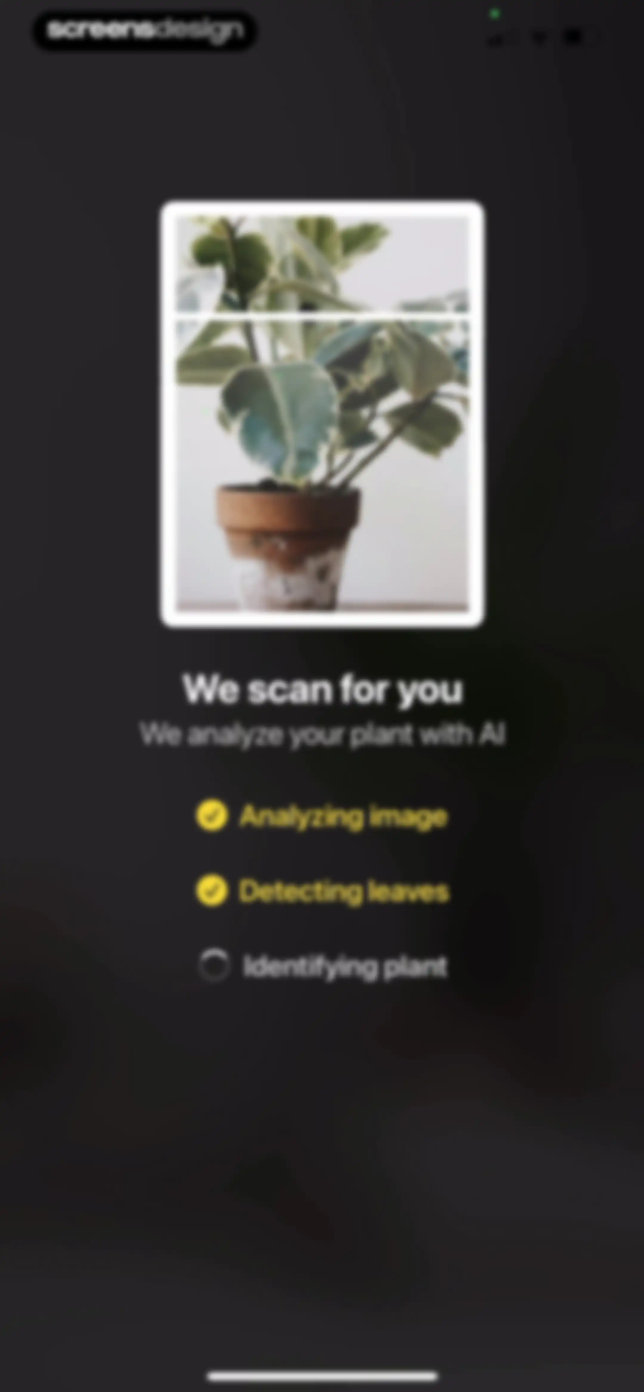 Plant App: Plant Identifier screen 46