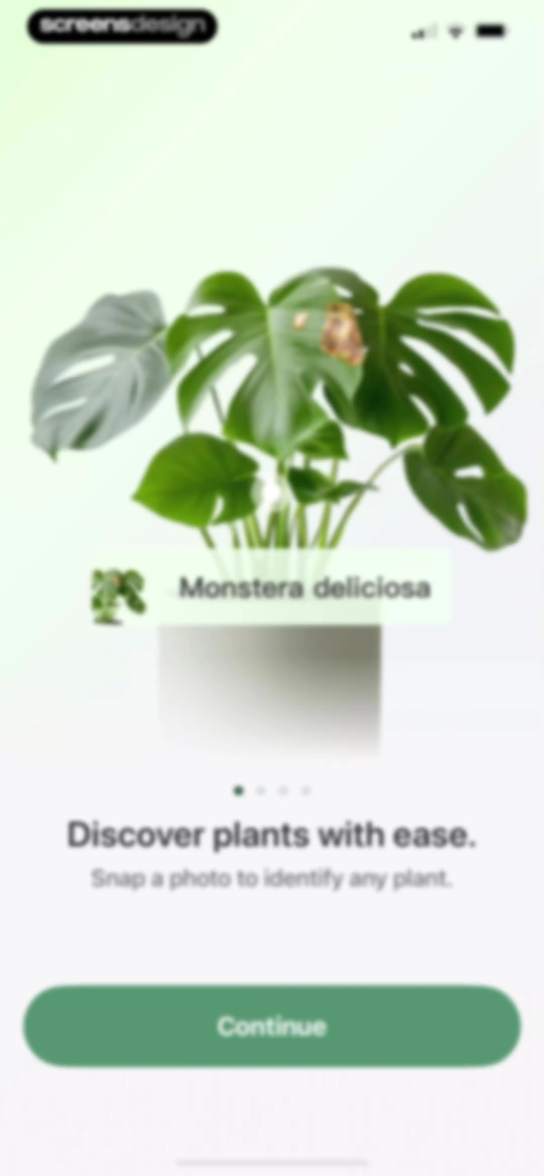Verde Finder : identify plants screen 3